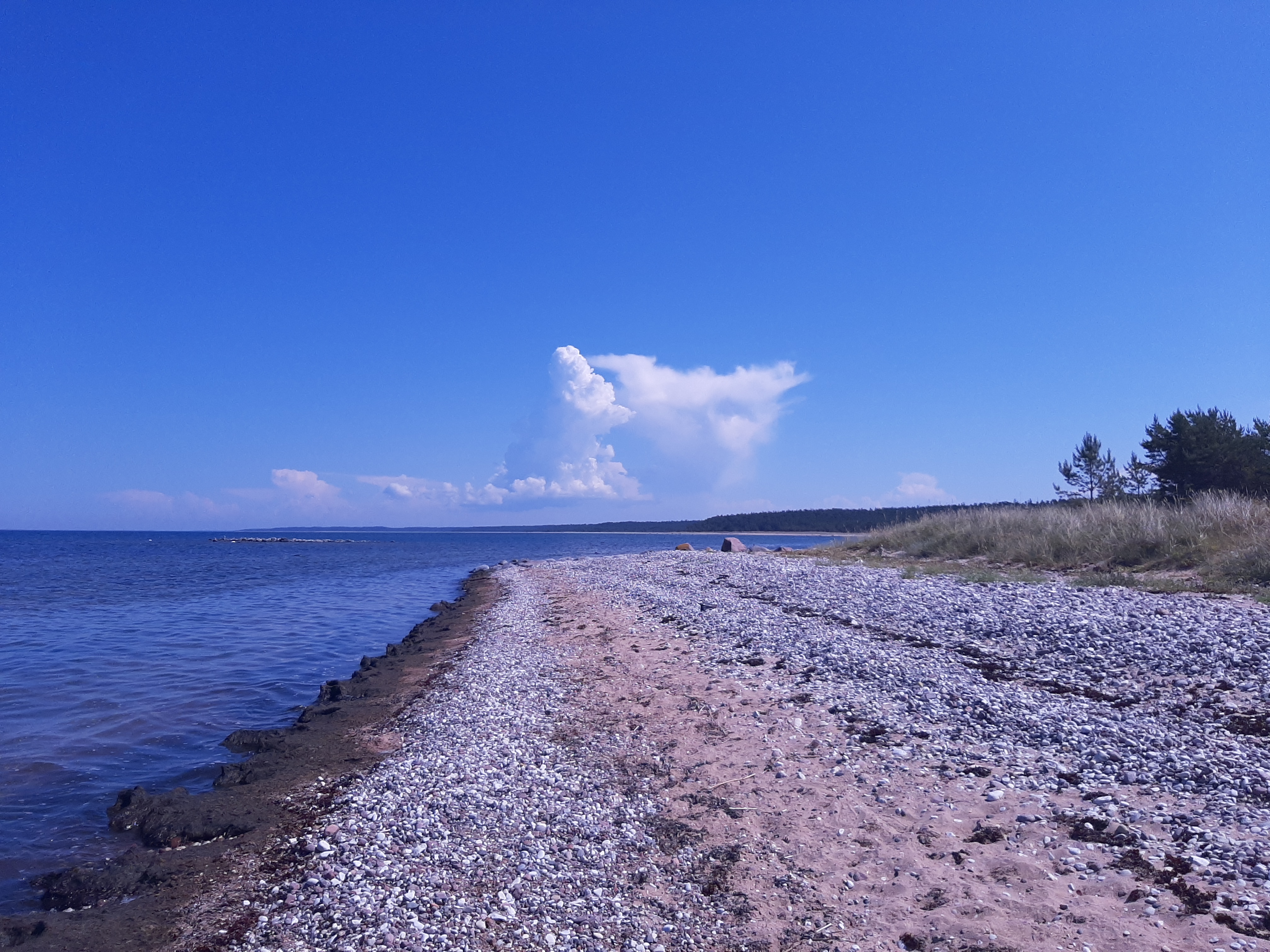 Mereäärne matkarada ja rand Hiiumaa looduskaunil rannikul