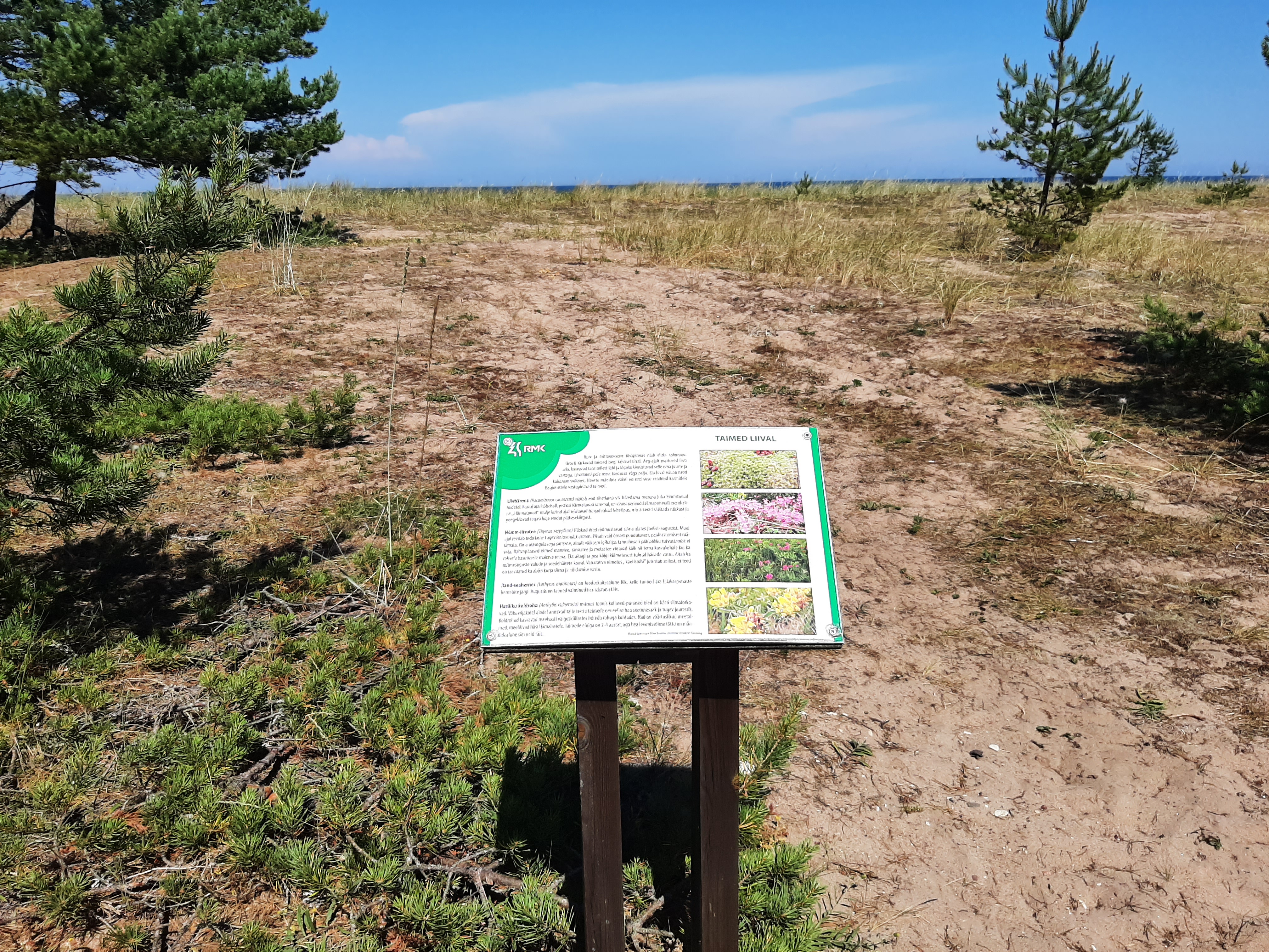 Infotahvel Hirmuste õpperaja mere äärsel teel
