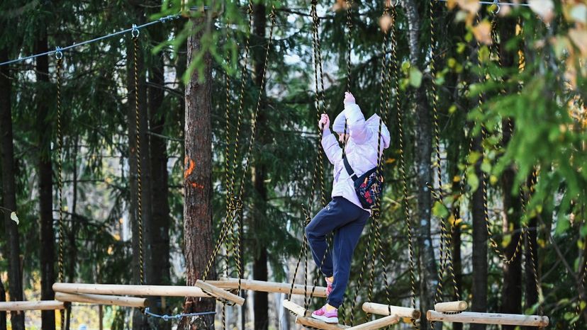 Tapa madalseiklusrada