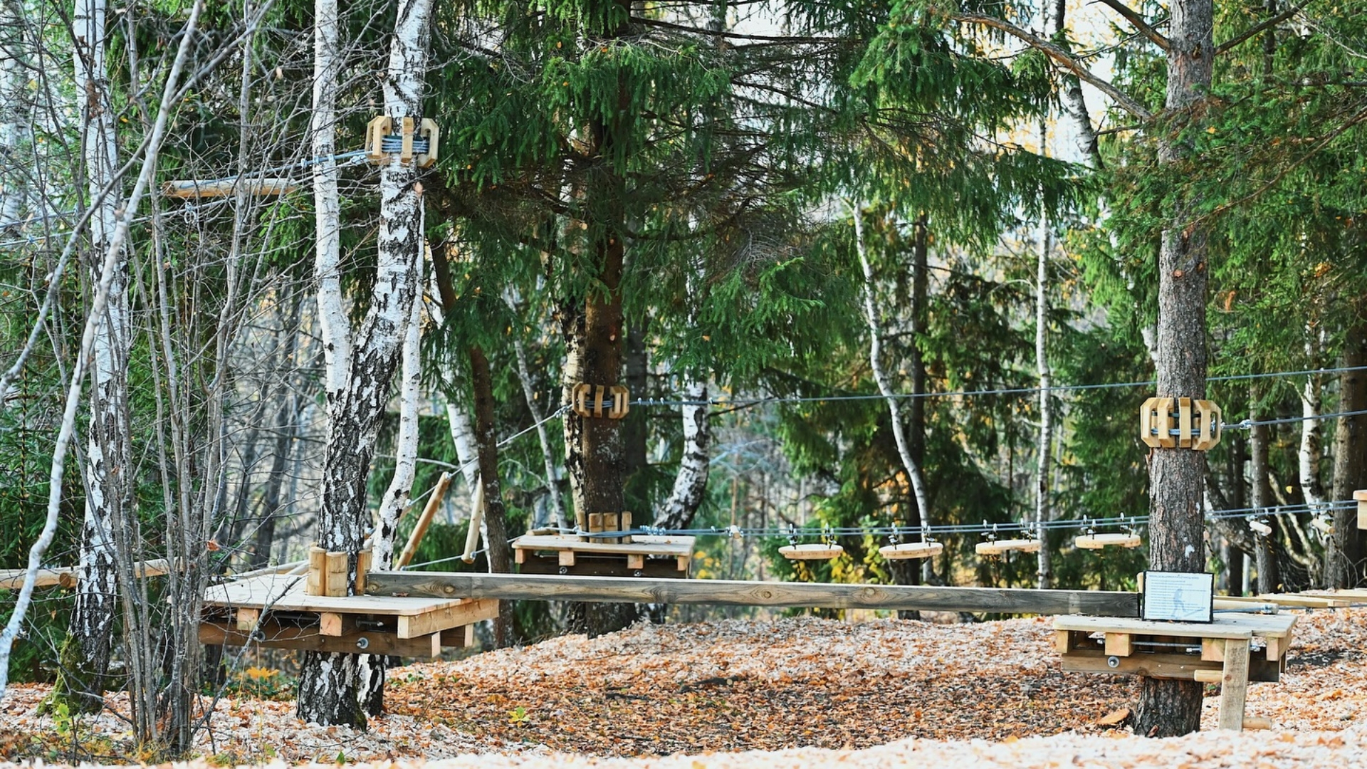 Tapa madalseiklusrada