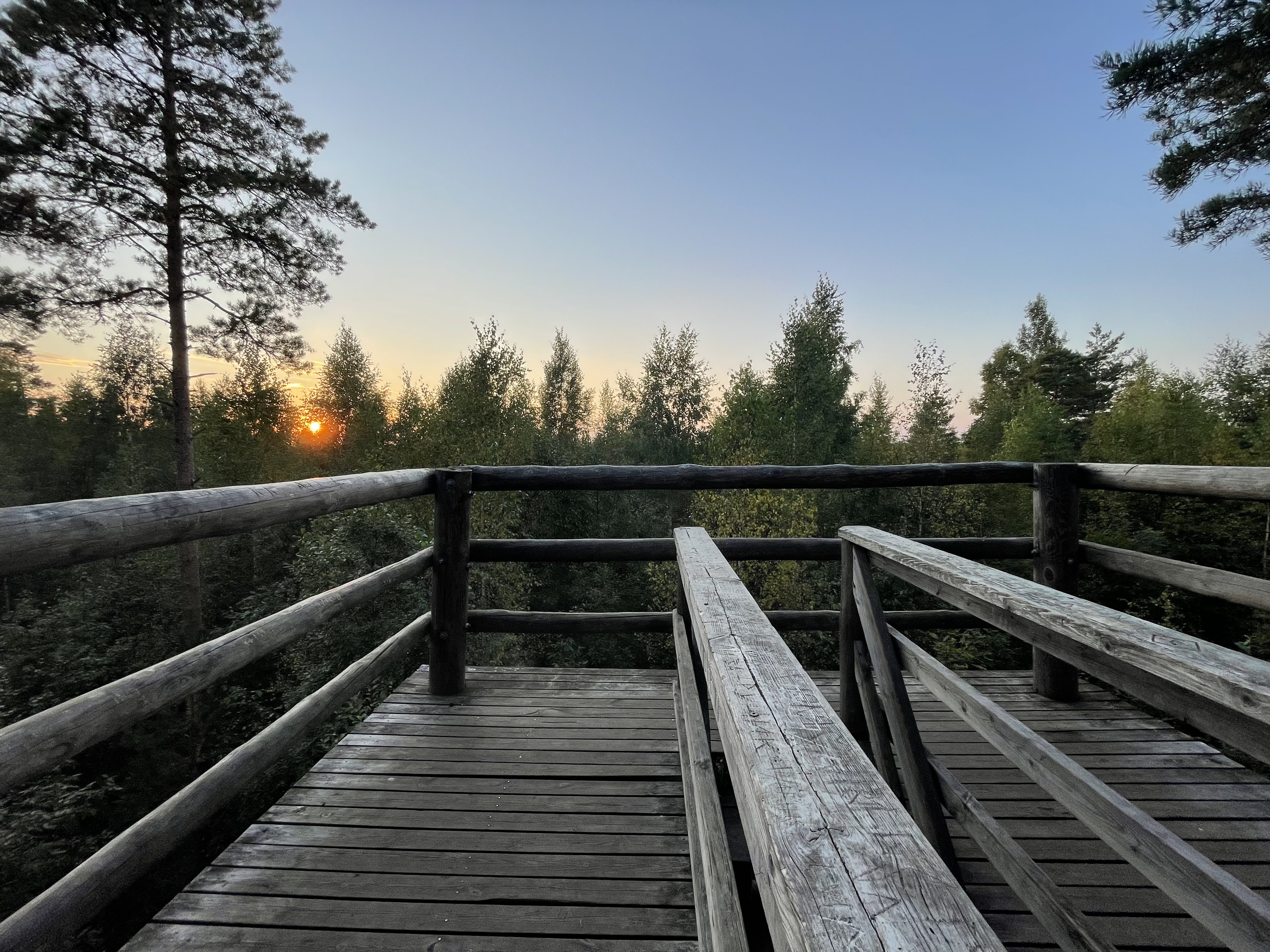 The 4-kilometre trail runs along the soil and boardwalks through different forest types, over canals and springs. A 10-metre observation tower is loca