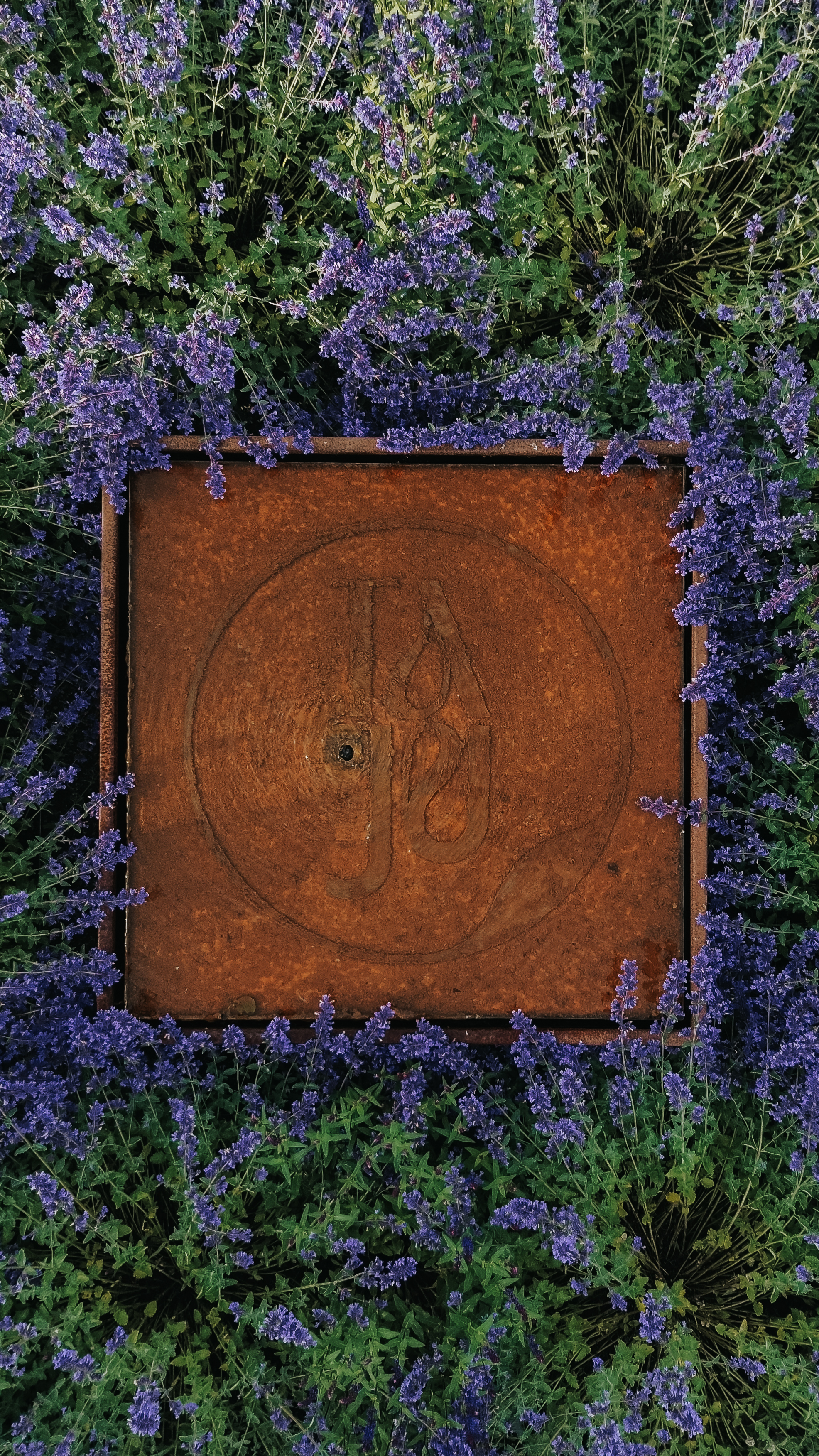 Taju experience accommodation herb garden