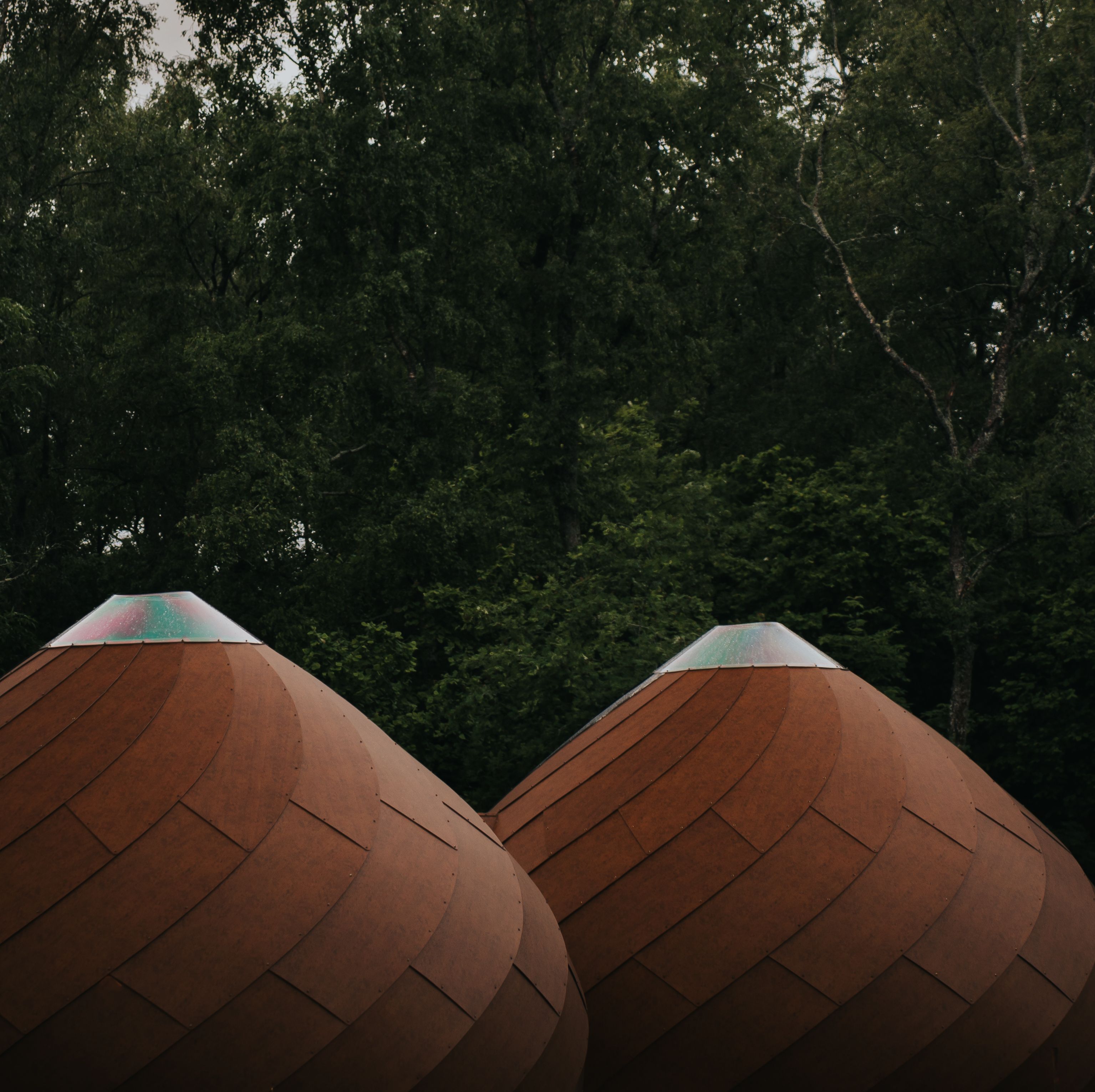 Taju Kupliaas experience accommodation near Tallinn