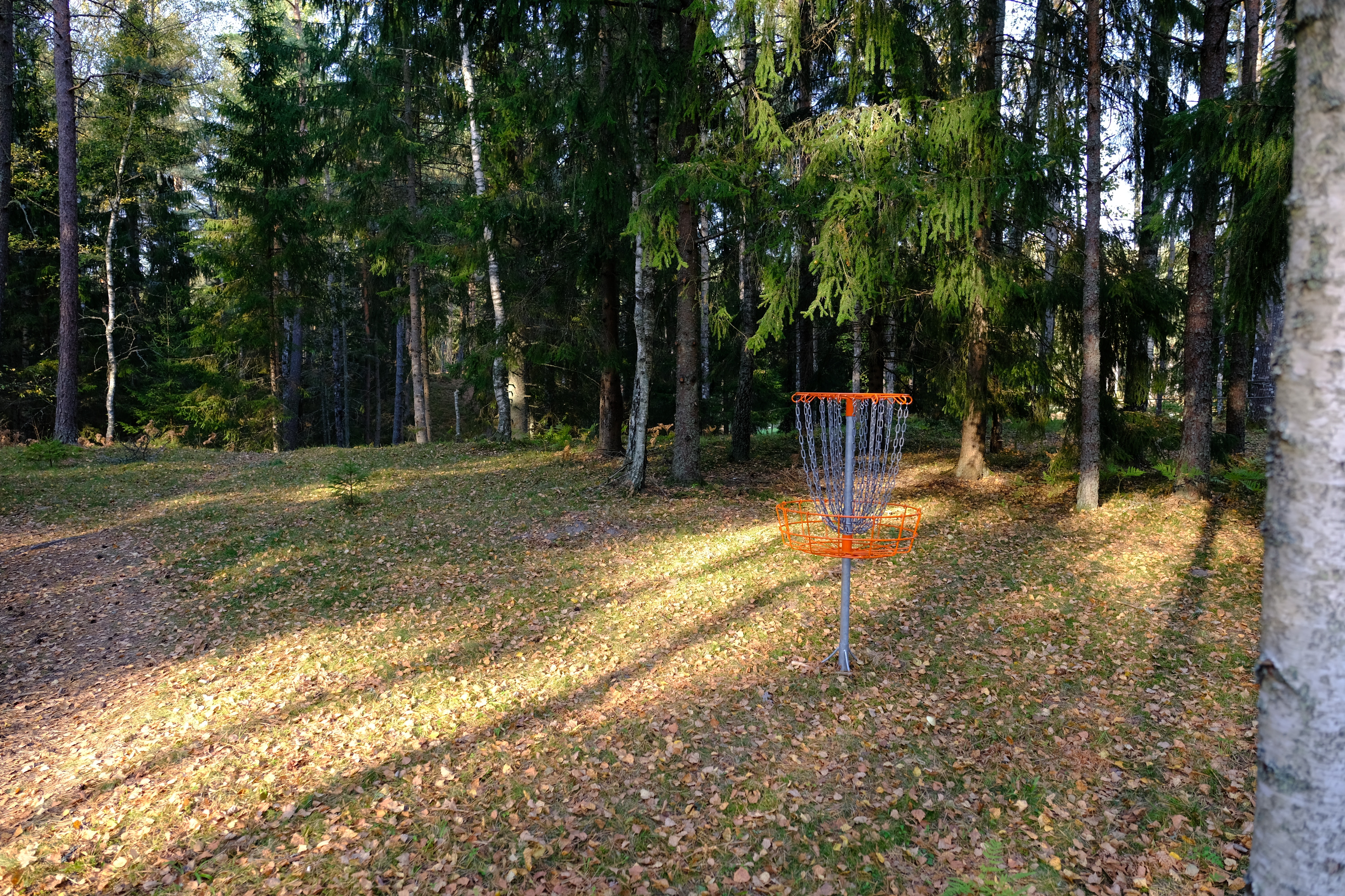 Elamustalu Disc Golf Park at Kallaste Farm in autumn