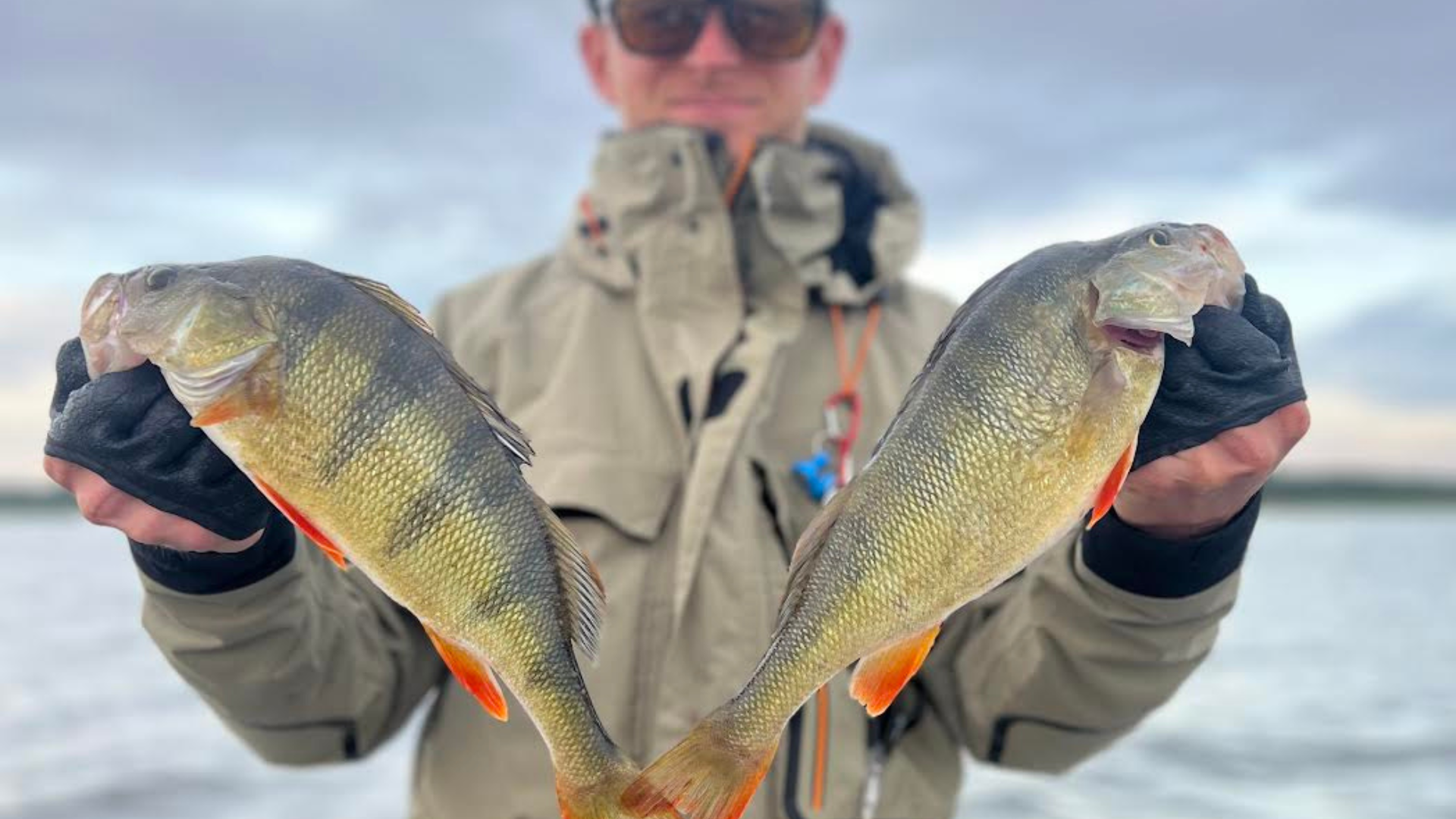 Ahvenapüük kalagiidiga Saaremaal!