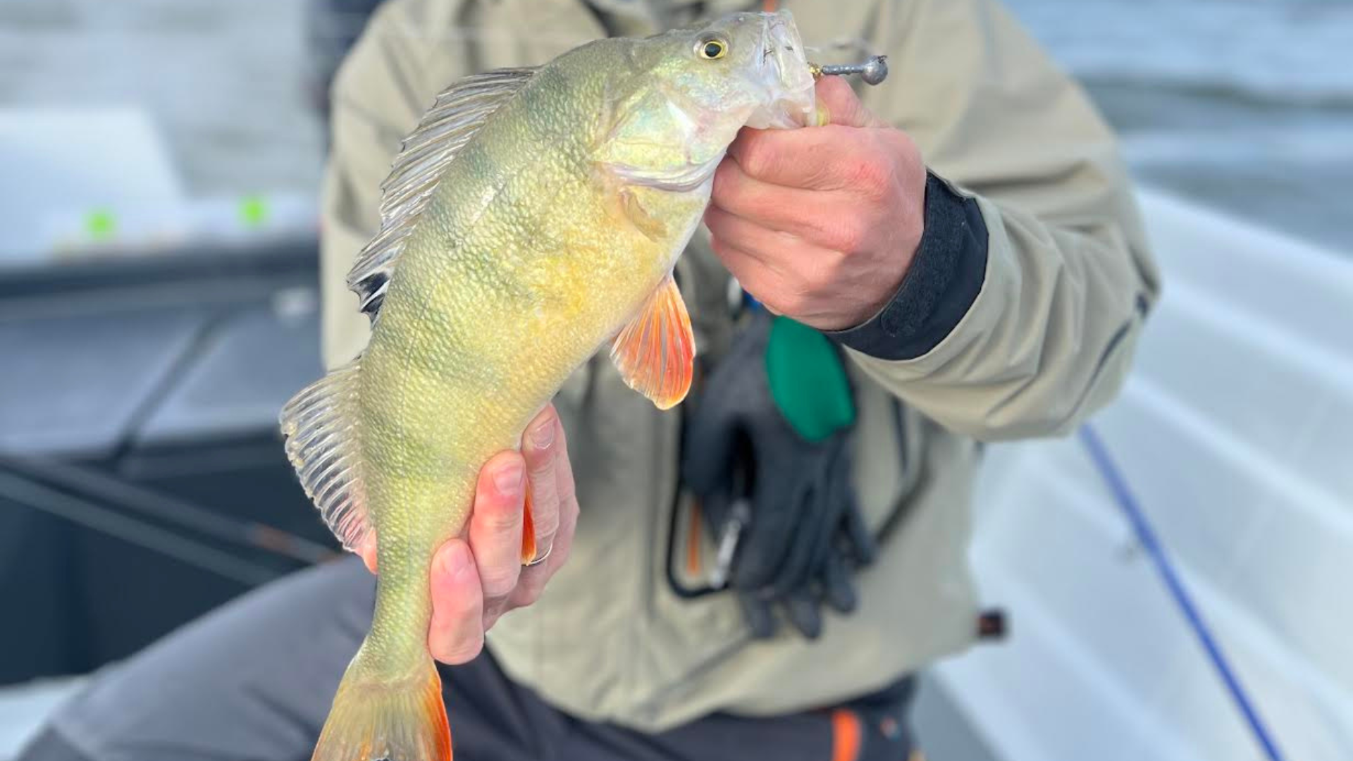 Ahvenapüük Saaremaal