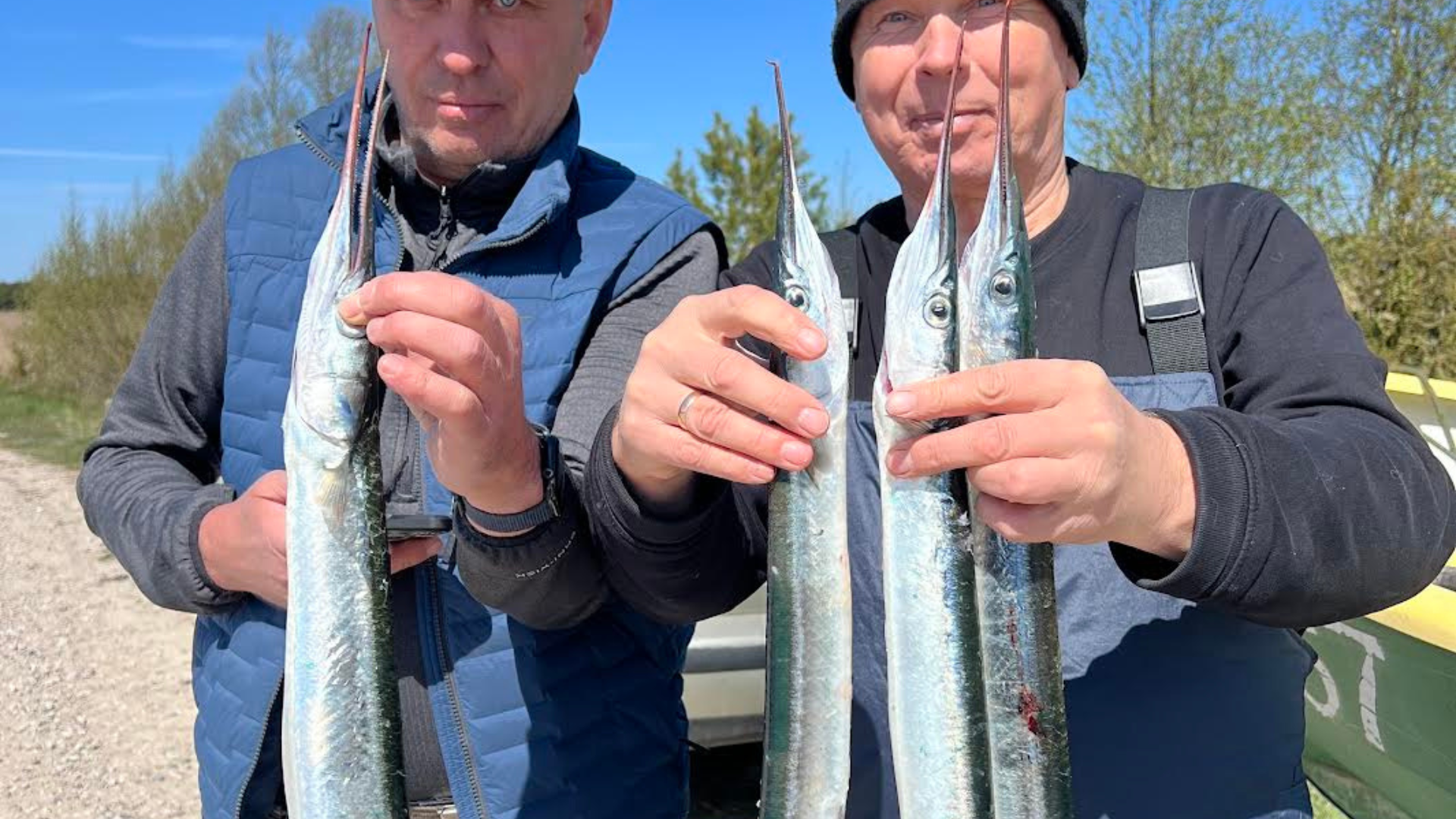 Tuulehaugipüük kalagiidiga