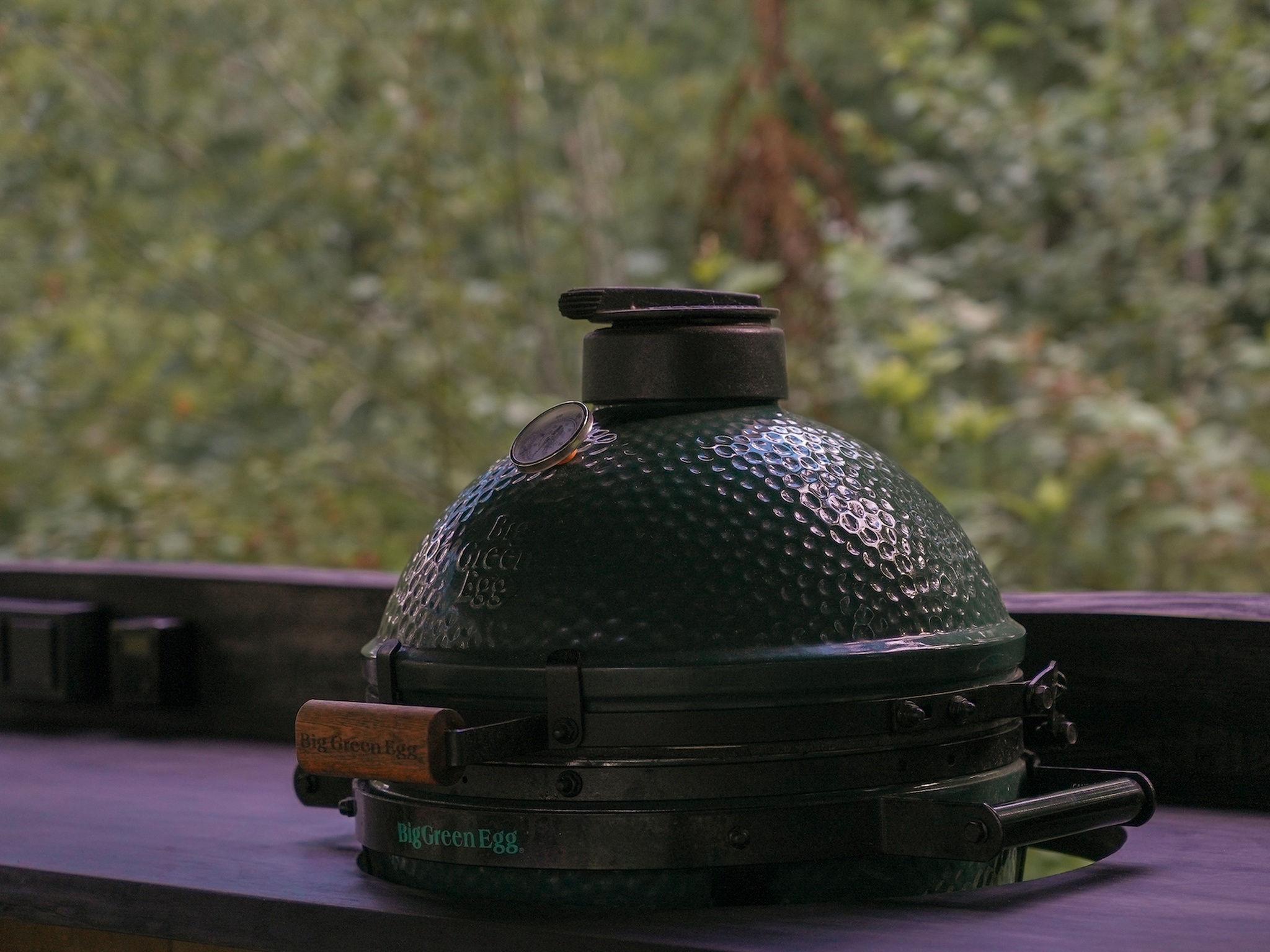Green Egg ir piepildīts ar oglēm un gatavs darbam