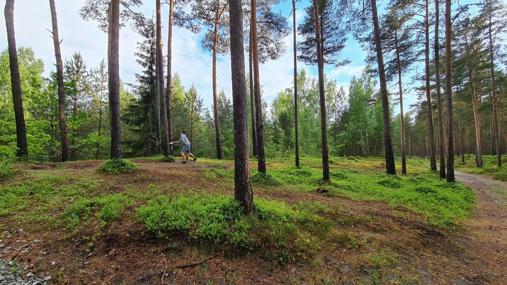 Playing at Elamustalu Disc Golf Park at Kallaste Farm