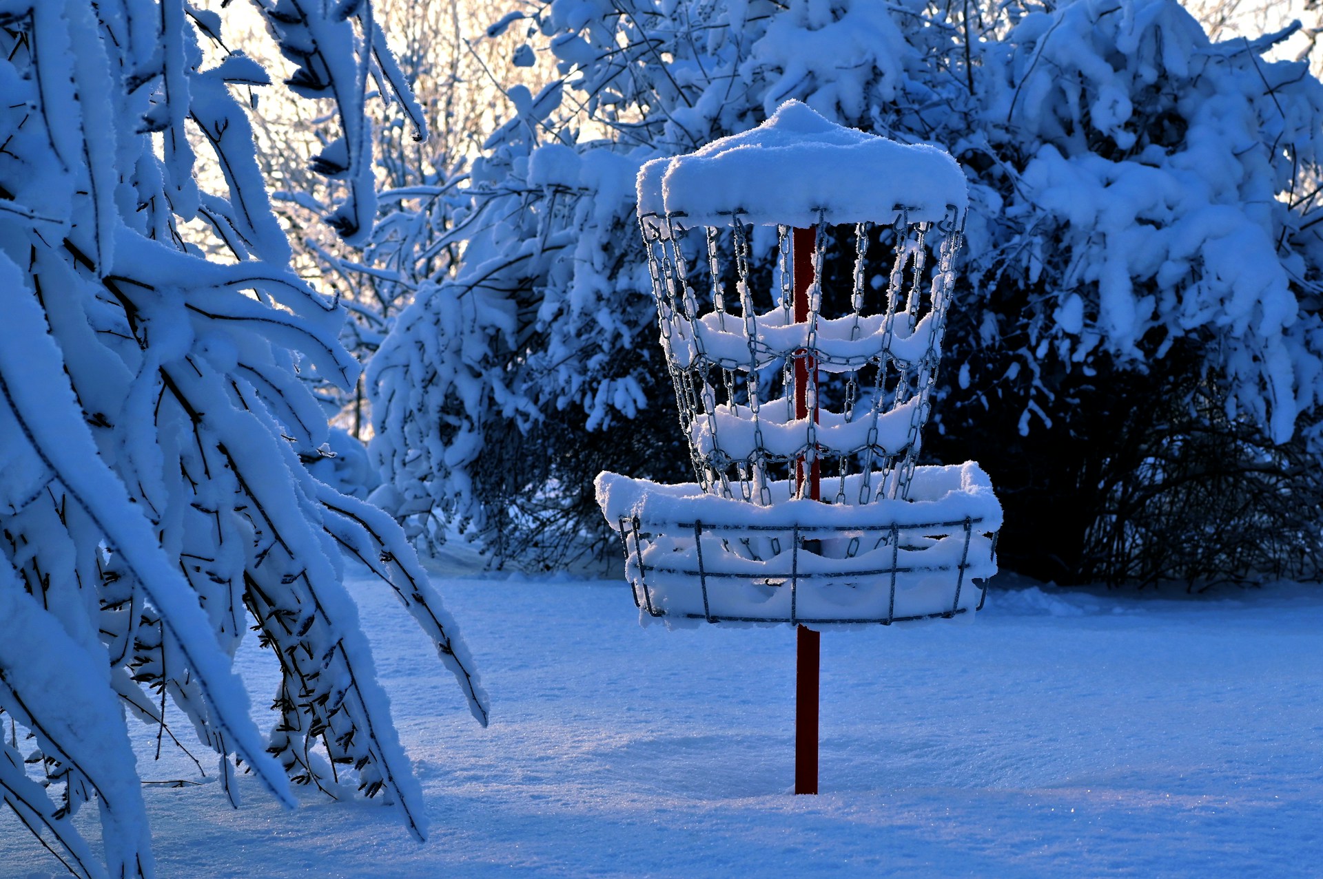 Disc golf basket under the snow