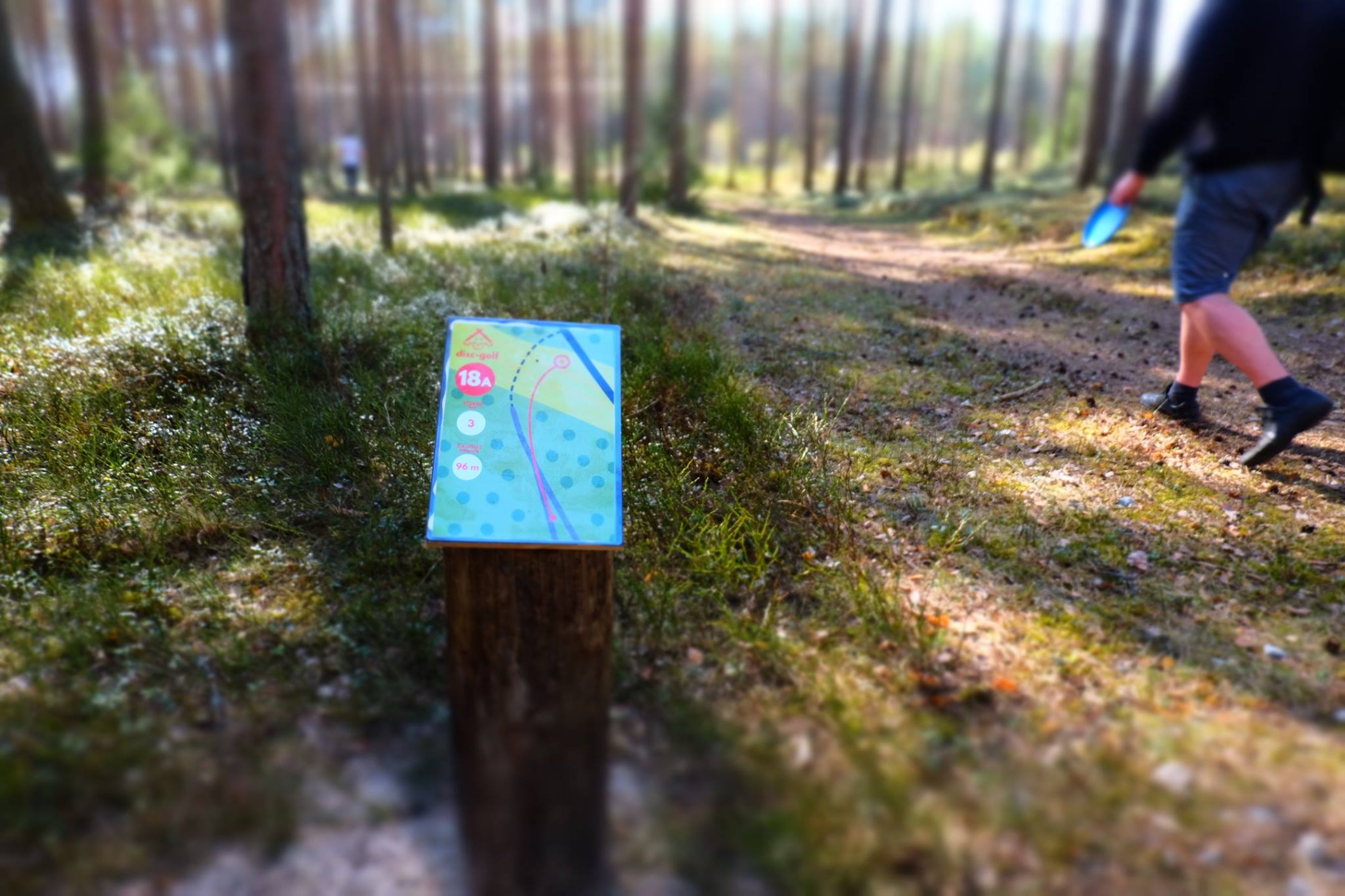 Elamustalu Disc Golf Park at Kallaste Farm marked tee area