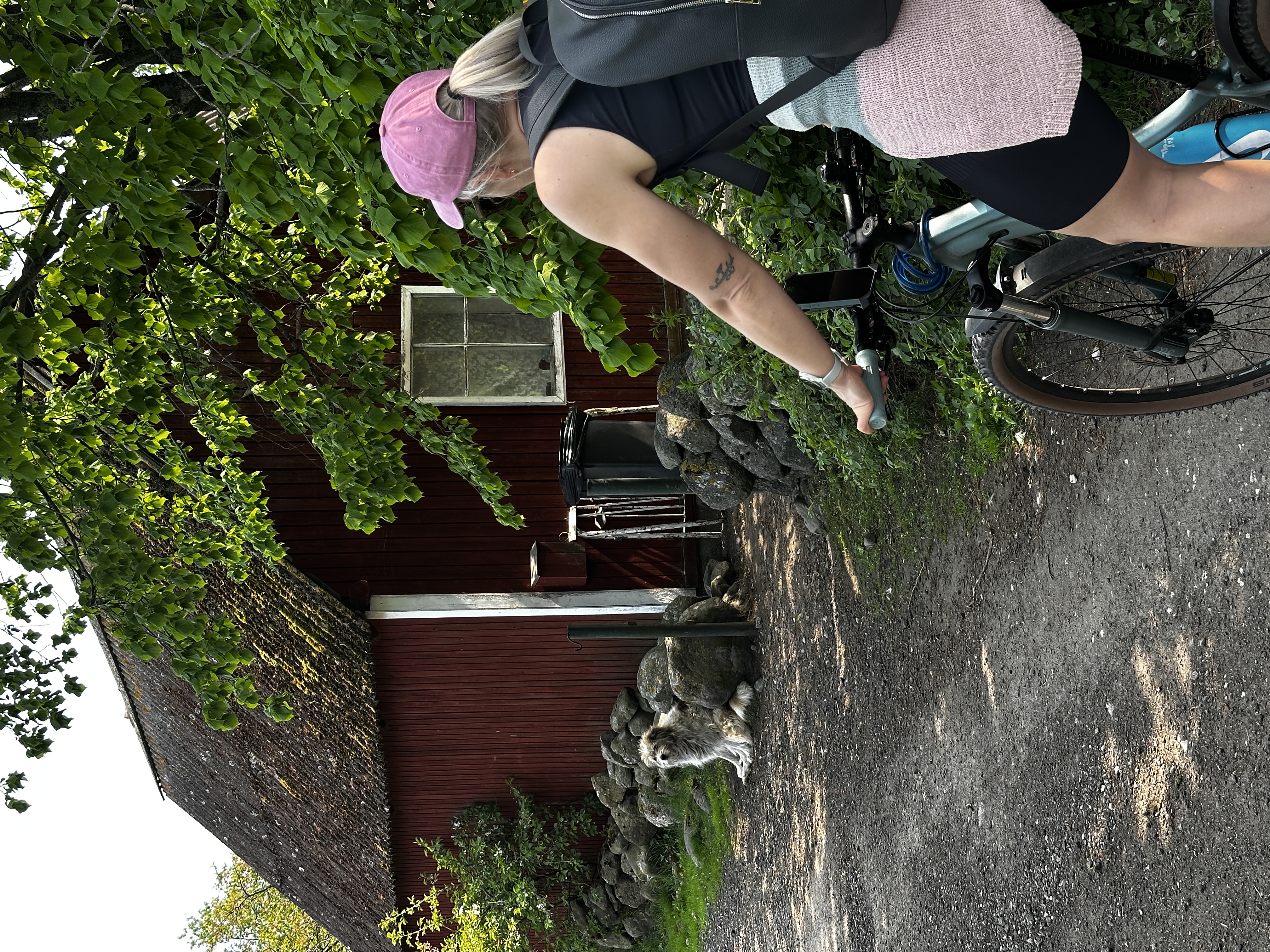 Tüdruk sõidab Prangli külavahel jalgrattaga ja silmab koera