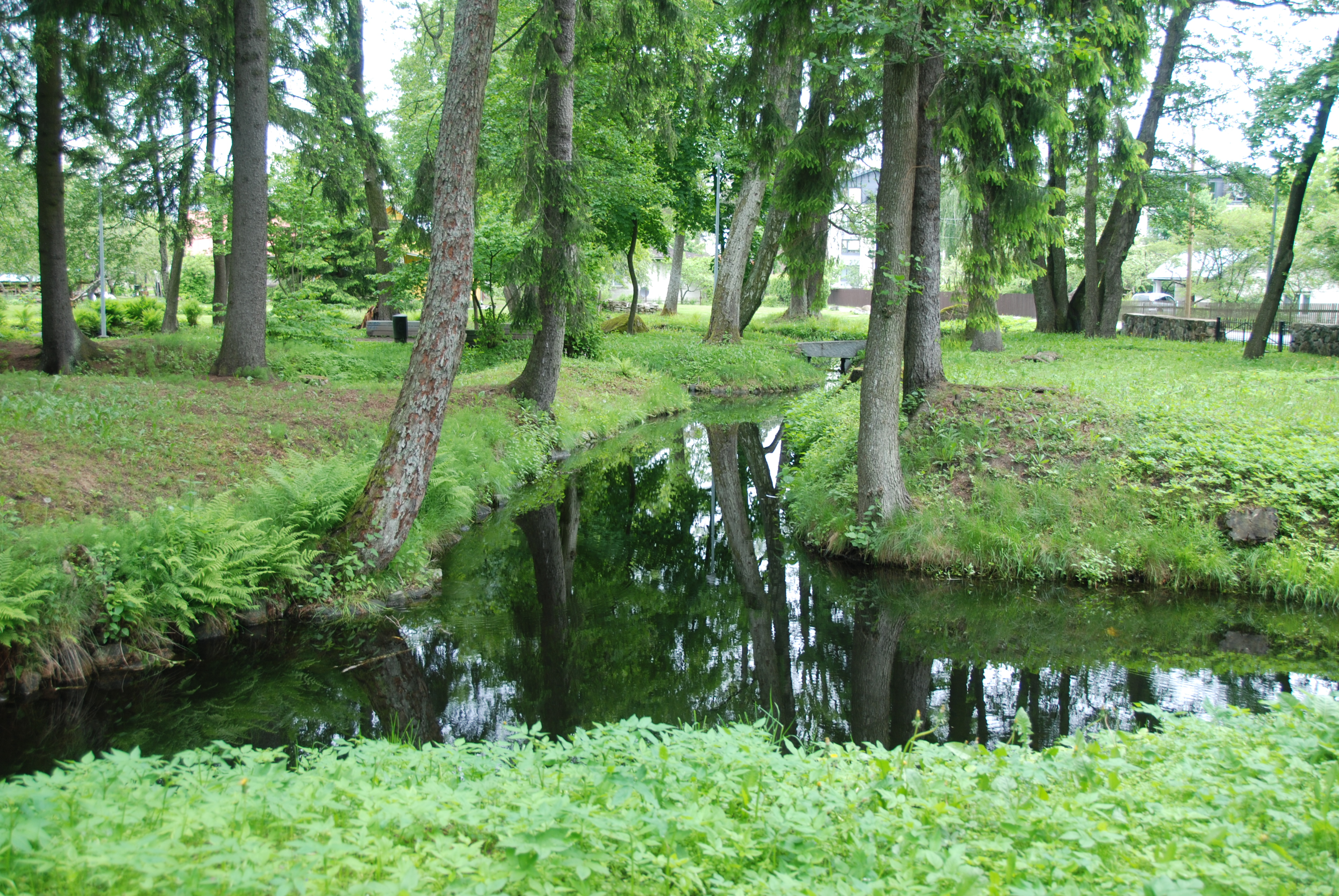 Nõmme–Mustamäe Landscape Protection Area spring in Tallinn