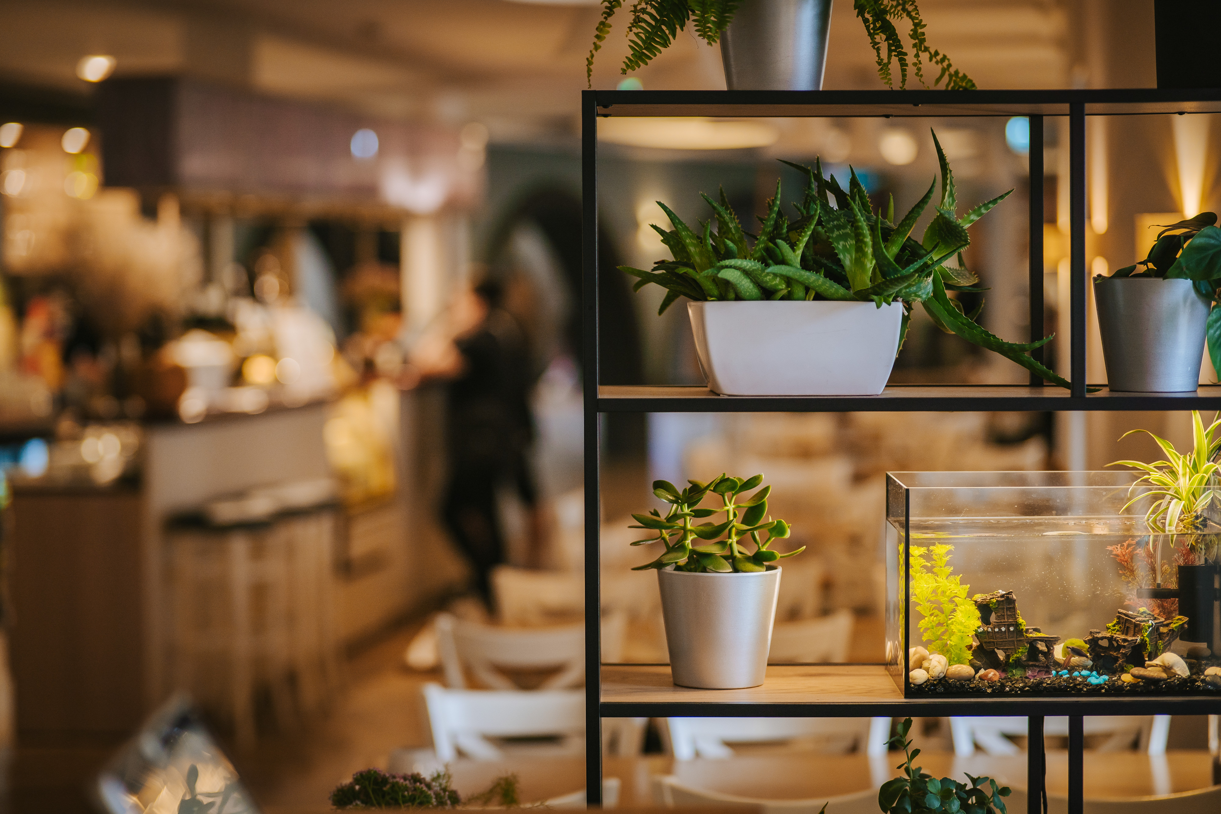 Strand resto Pärnu linnas