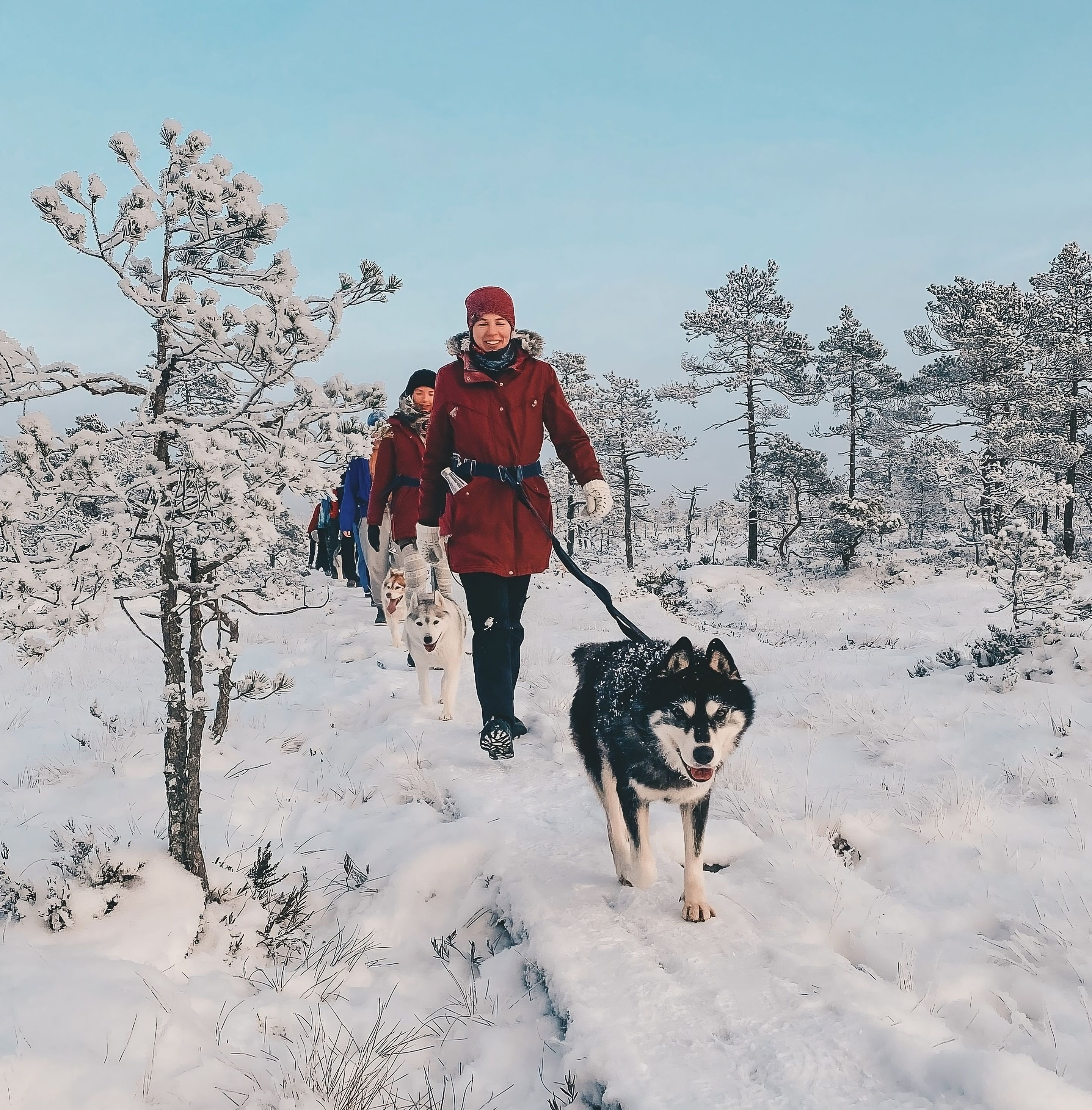 Matk Siberi huskydega on lõbus tegevus