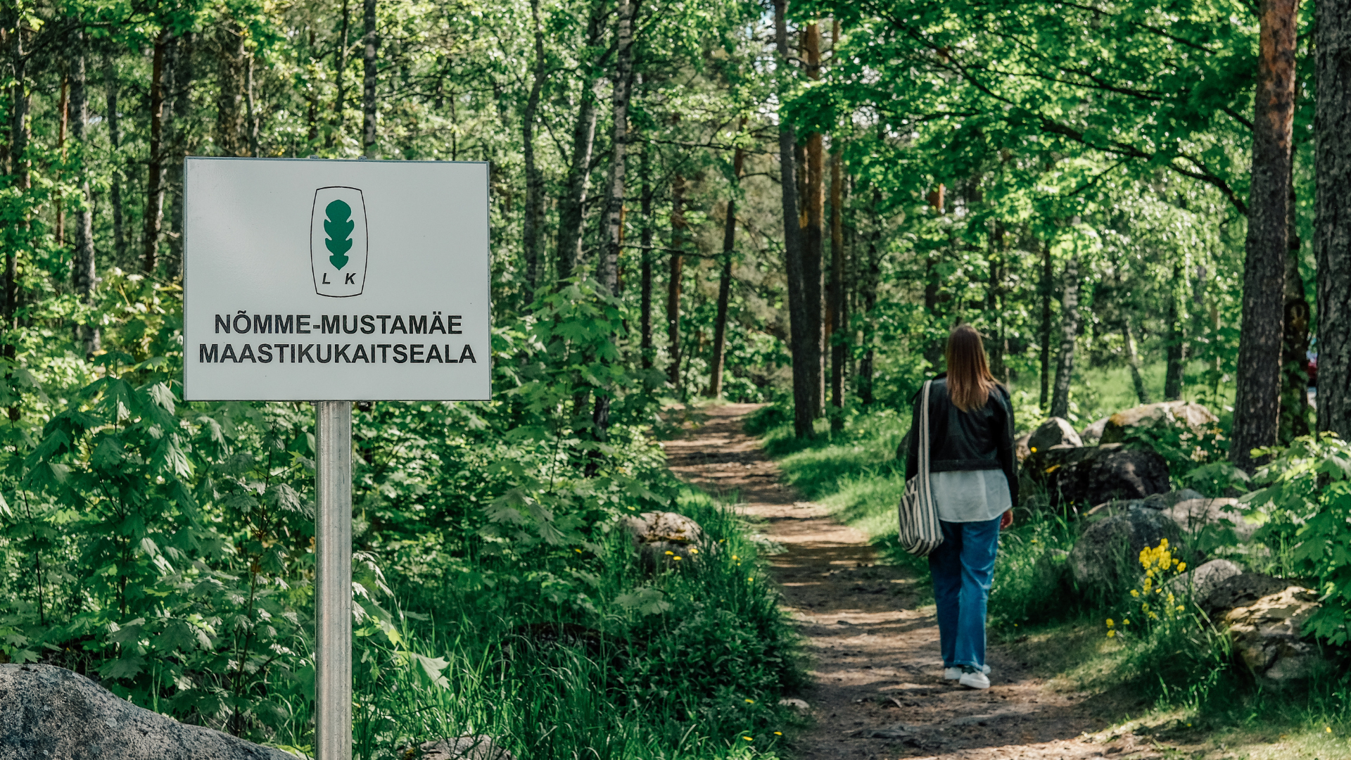 Nõmme–Mustamäe maisemansuojelualue sijaitsee vain muutaman minuutin ajomatkan päässä Tallinnan keskustasta. Tämä on paikka, jossa luonto, historia ja 