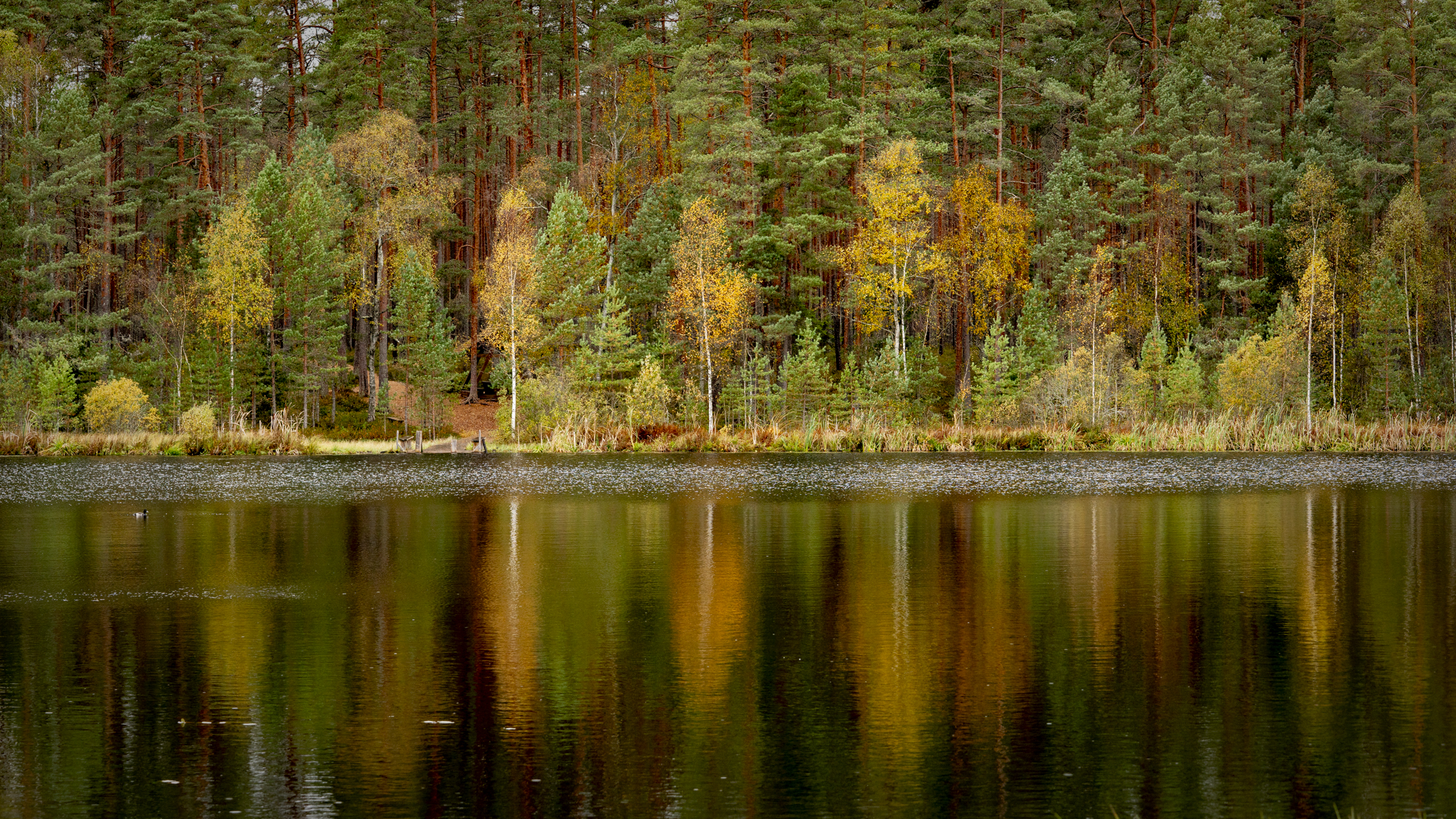 Kuldne sügis Viljandis