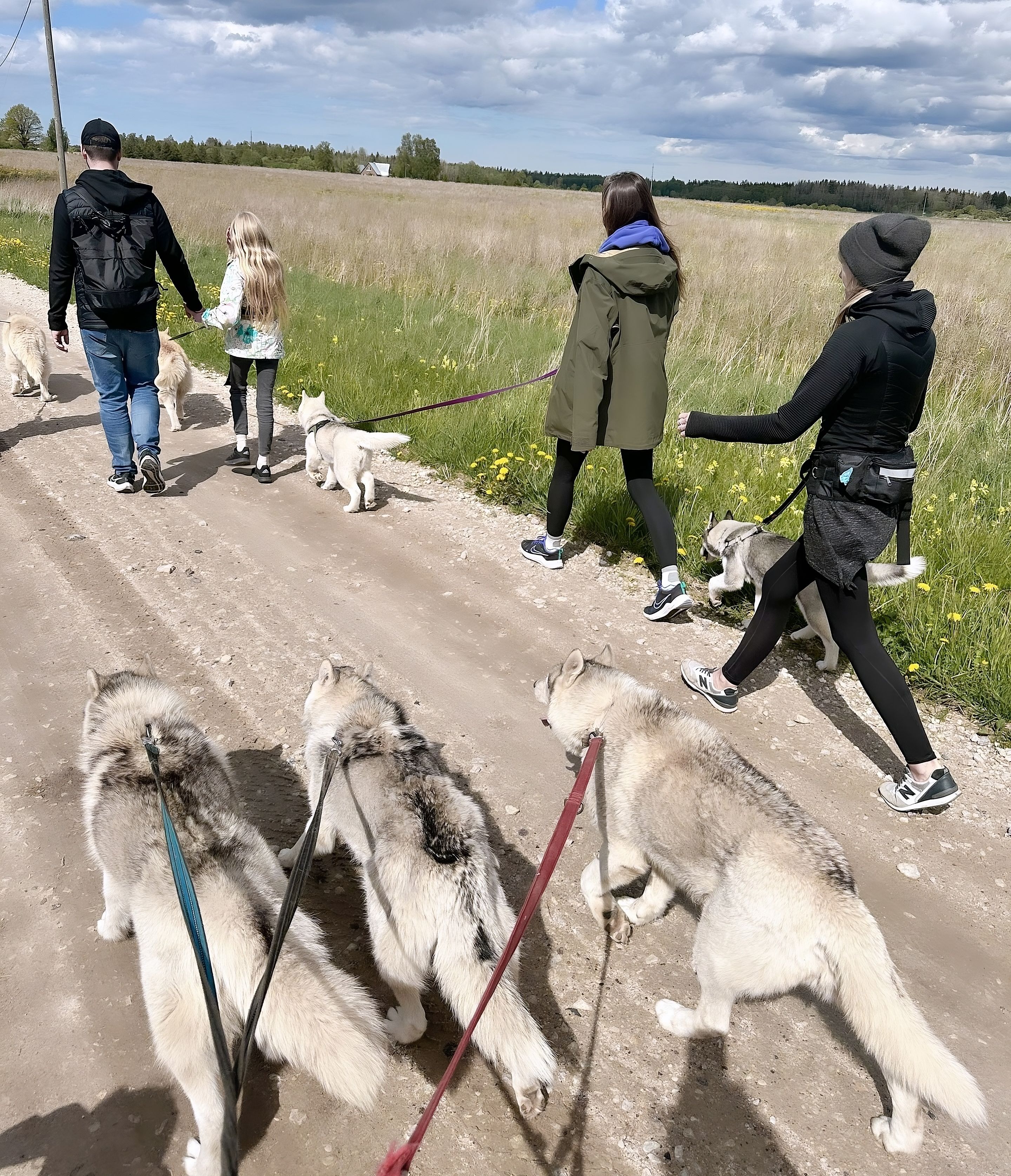 Huskidega jalutamisel sammud täis