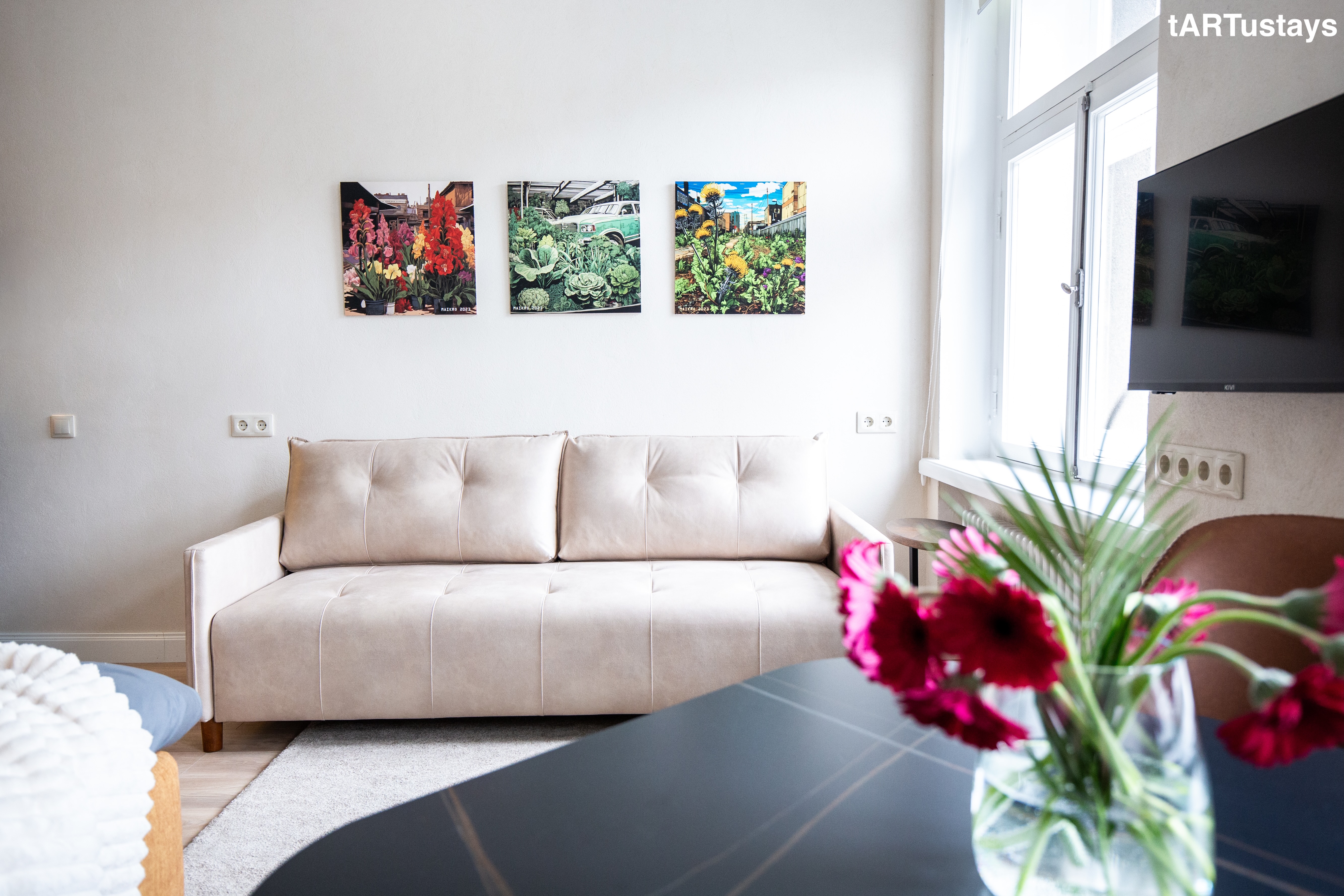 Tartu Maikro korteri elutuba ja lahtikäiv diivanvoodi