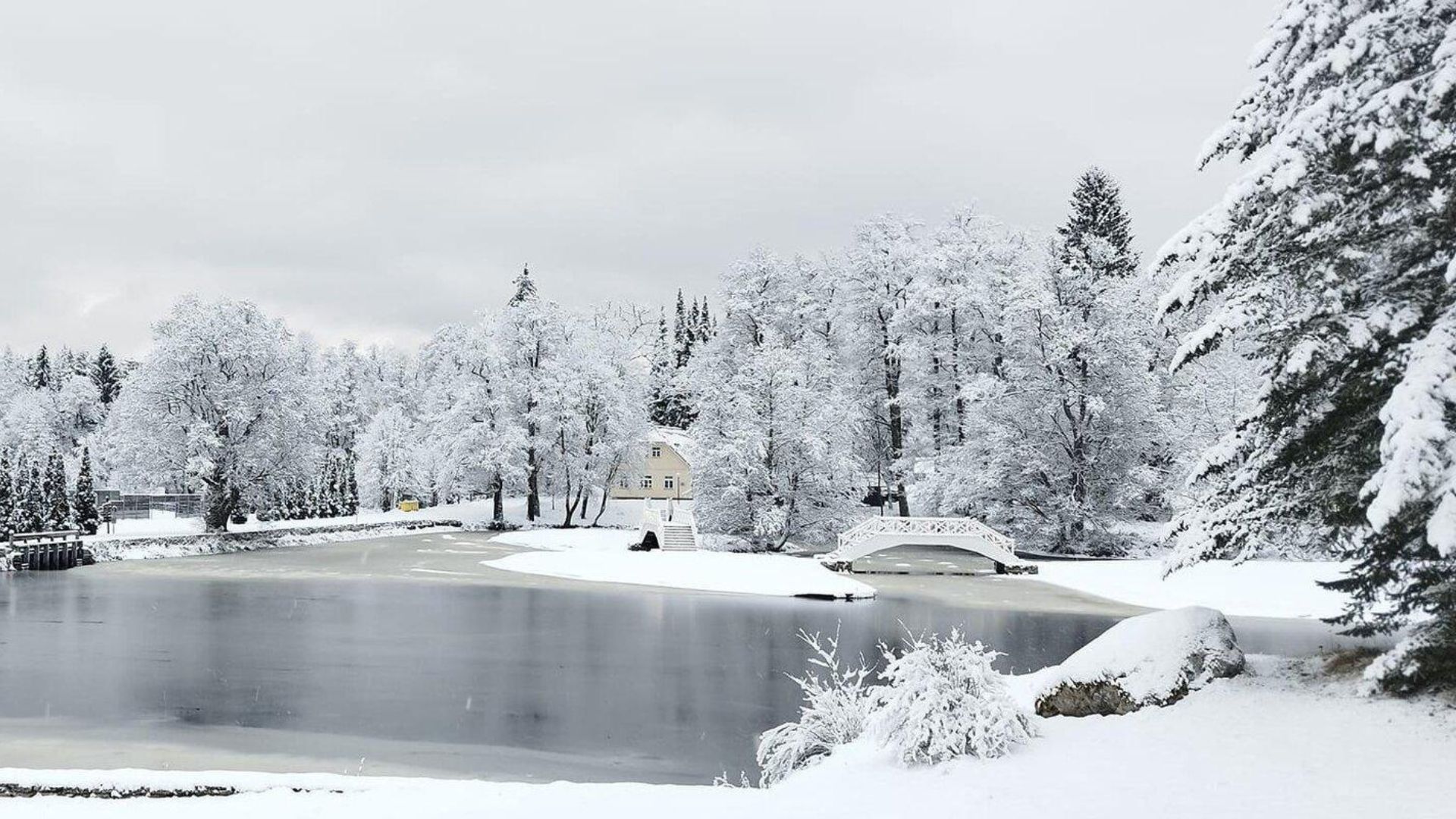 Vihula Mõisa park talvel