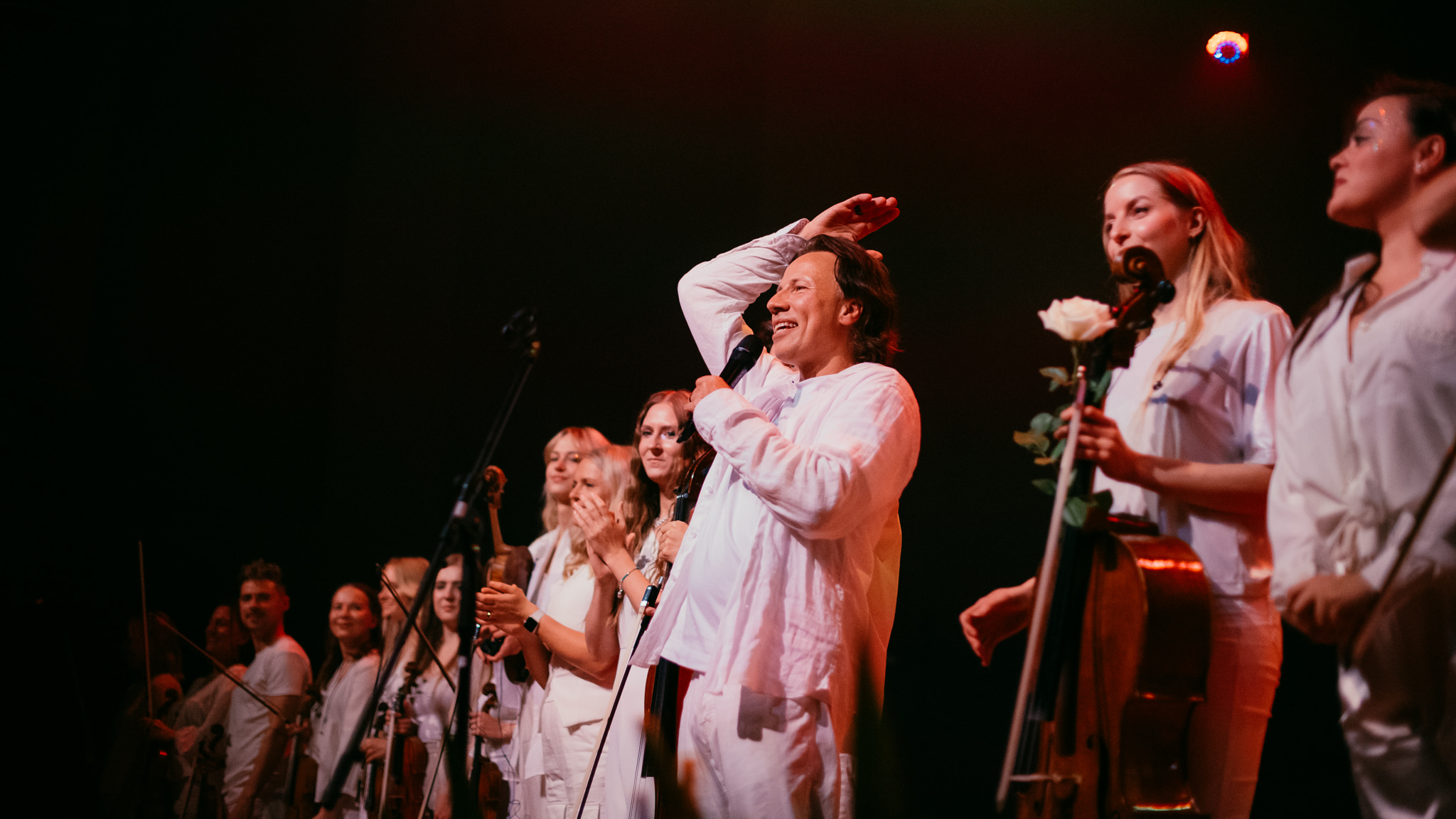 Nordic Pulse: Elemente