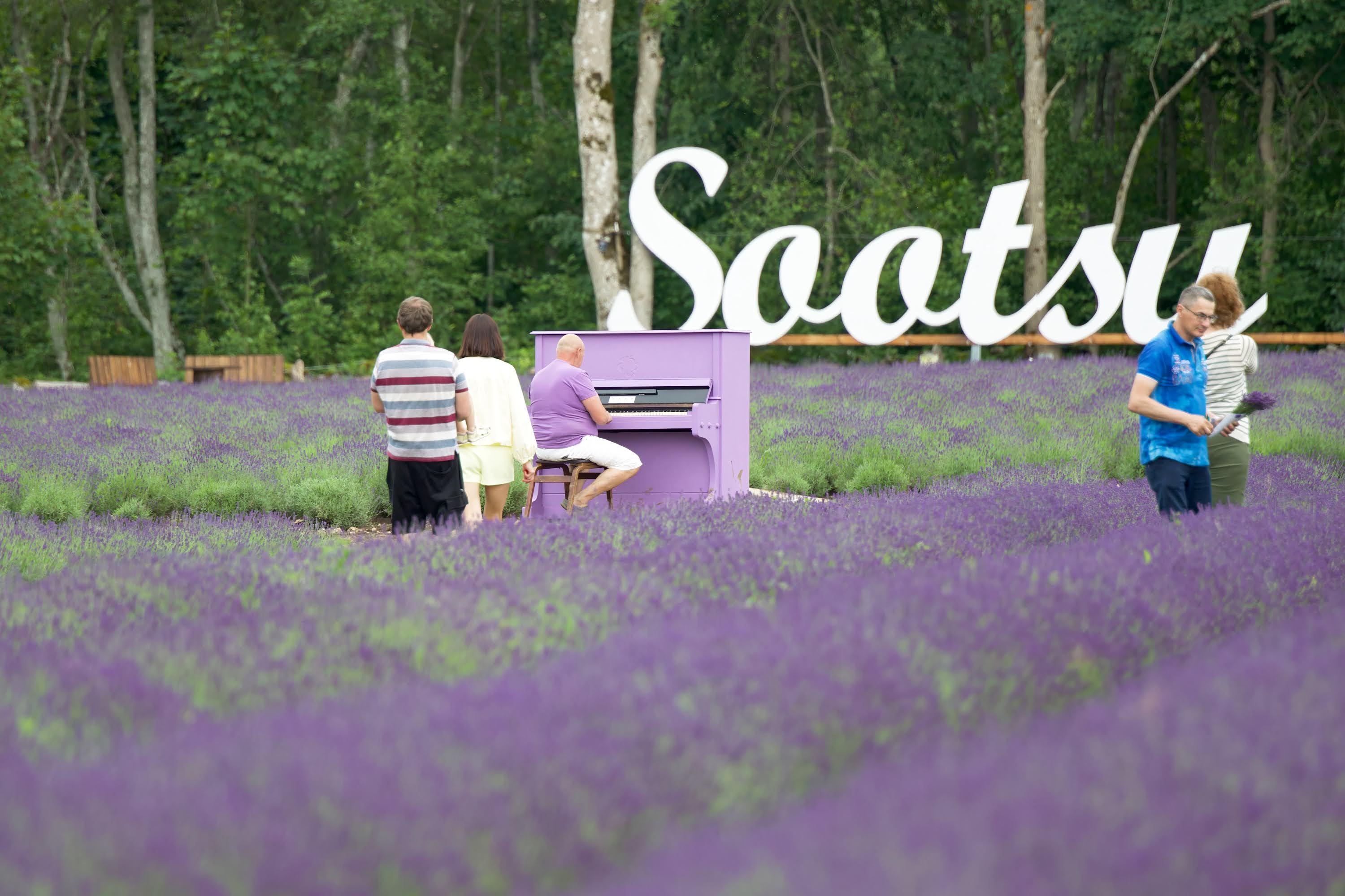 Sootsu Lavendel lavendlitalu Eestis