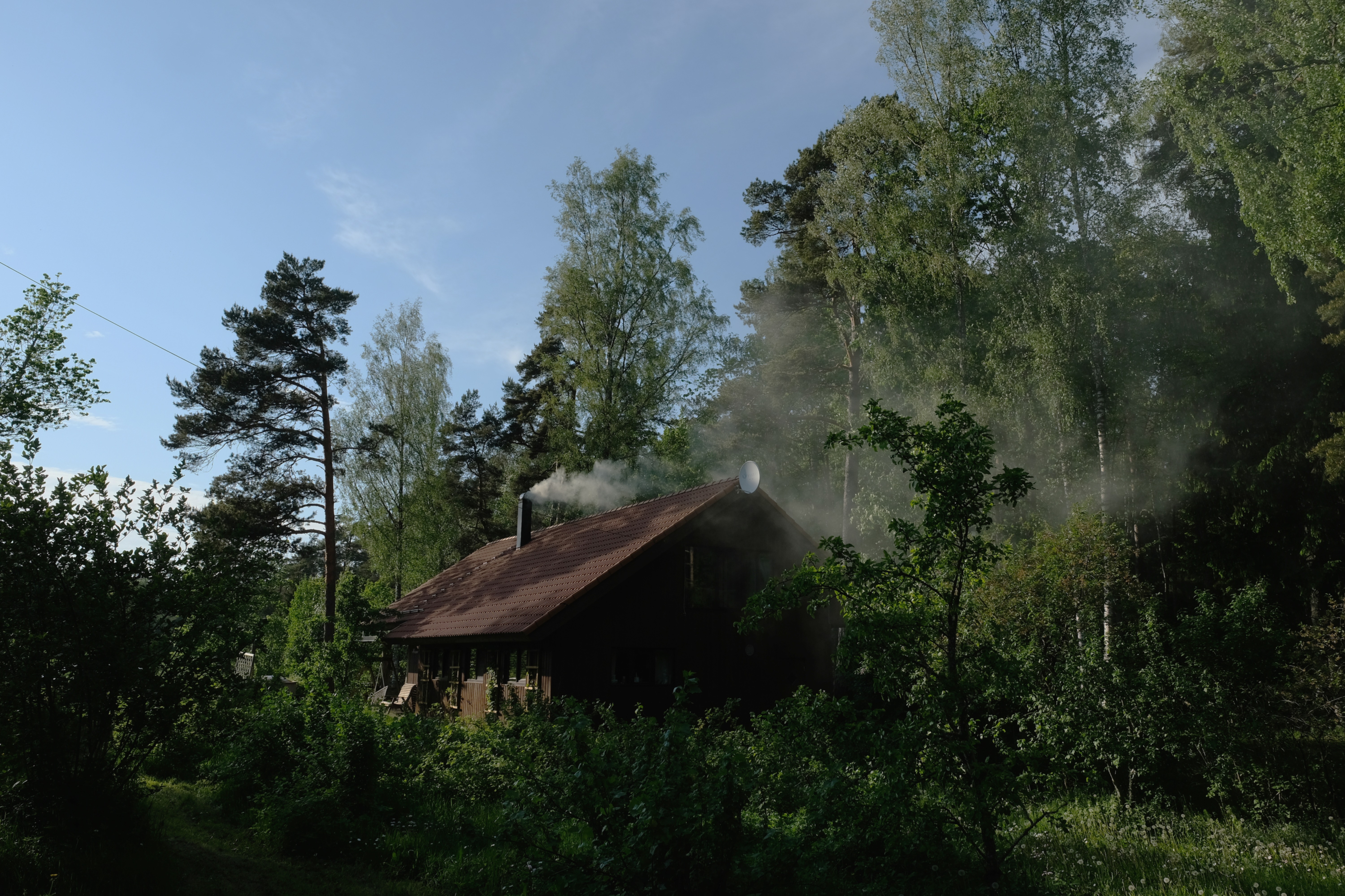 Mets ja saun - Mõttemaja Heino