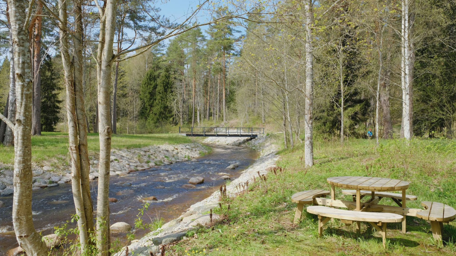 Kloostri Jõgi Padise metsas