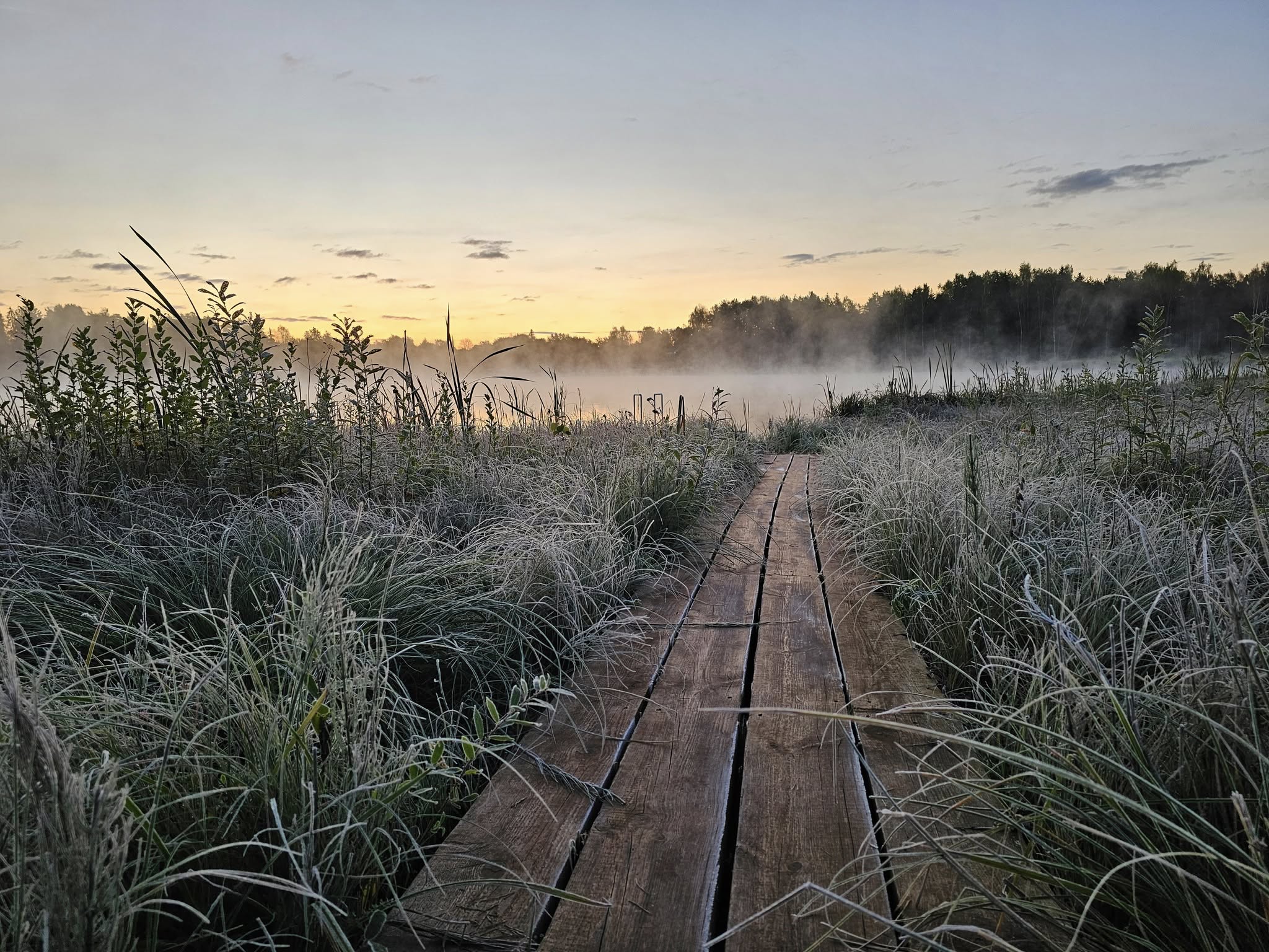 Tartumaa järv hommikuses kumas