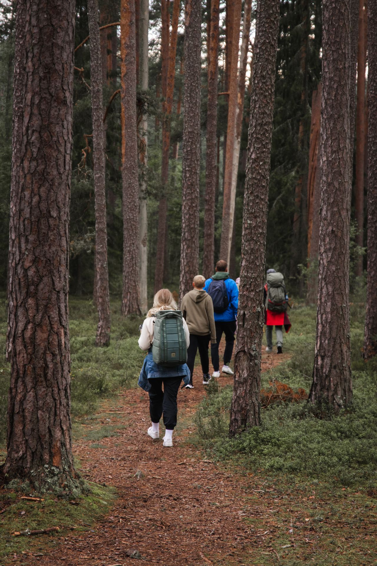 Eesti metsamatkarajad
