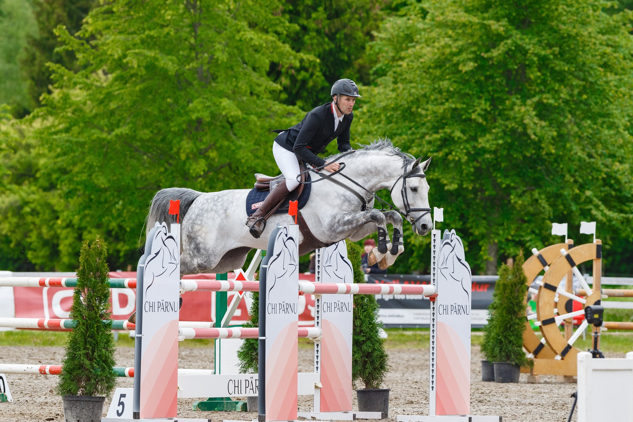 CHI – Concour Hippique Internationale – steht im internationalen Reitsport für einen Wettkampf, wo internationale Wettbewerbe in verschiedenen Pferdes
