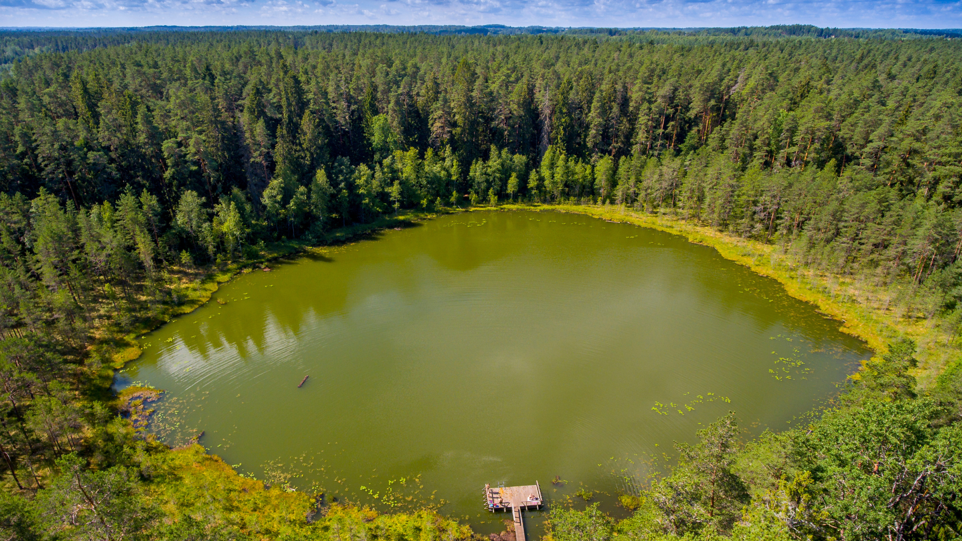 Suvises roheluses Vaikne järv