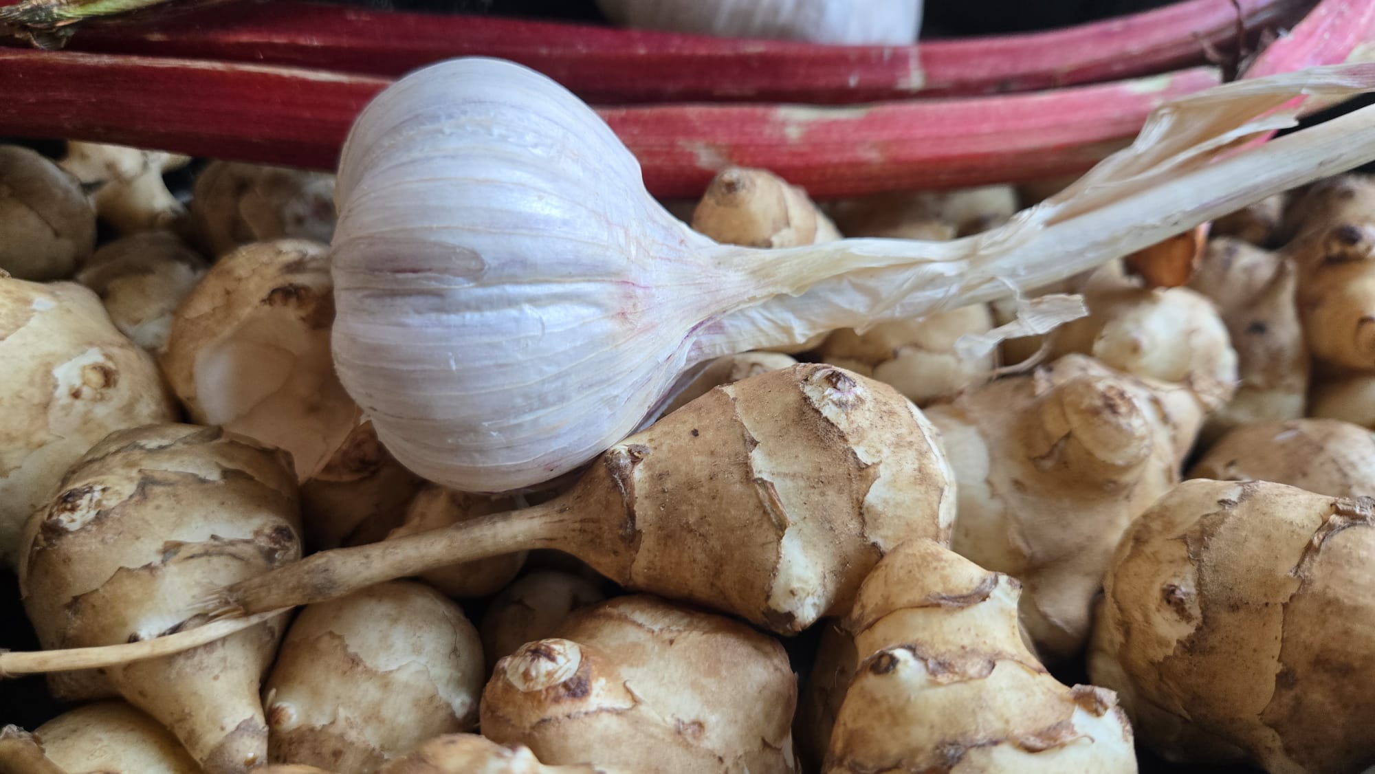 Fermentointityöpaja Kallasten matkailutilalla