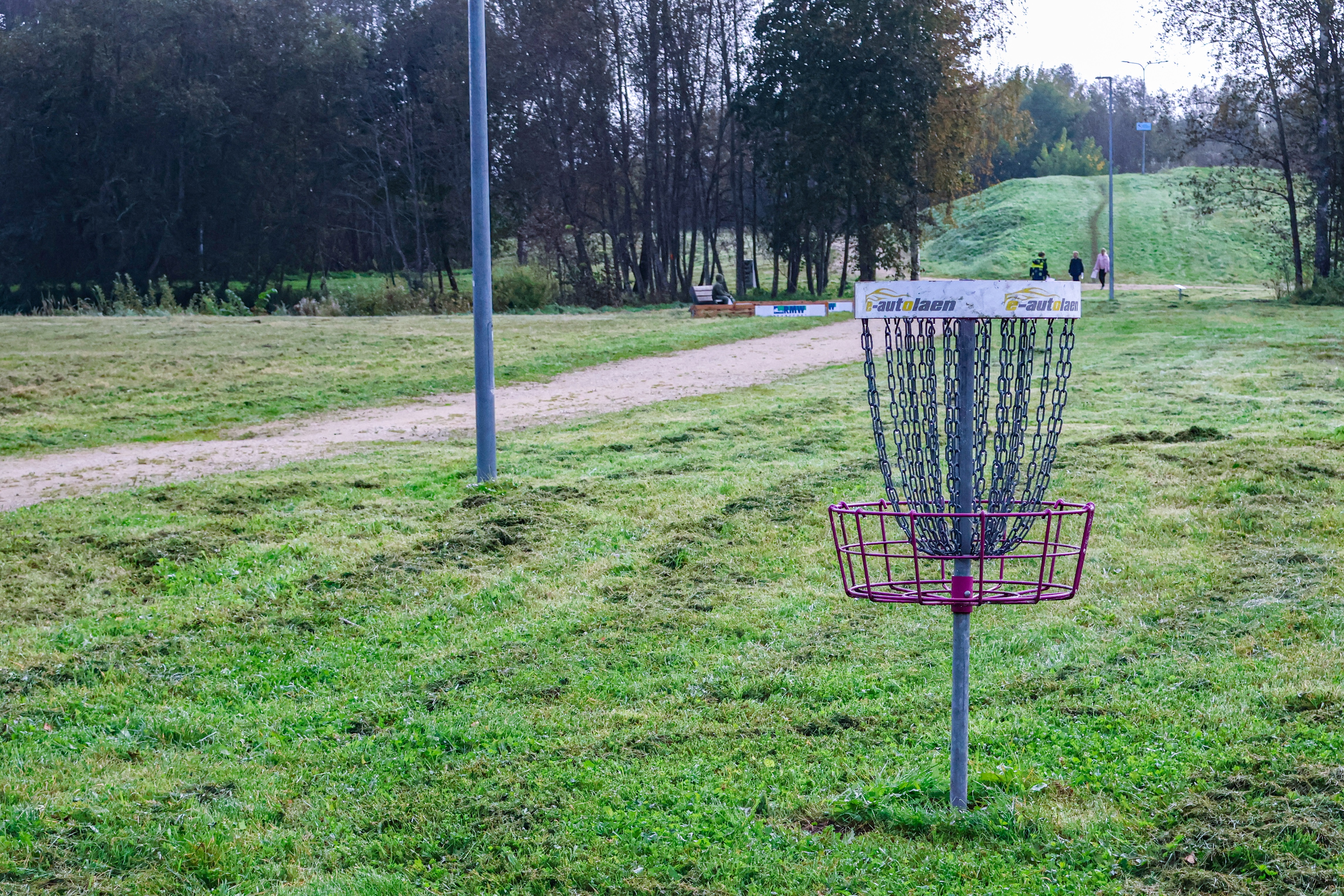 Rapla Veisroosi discolfi park
