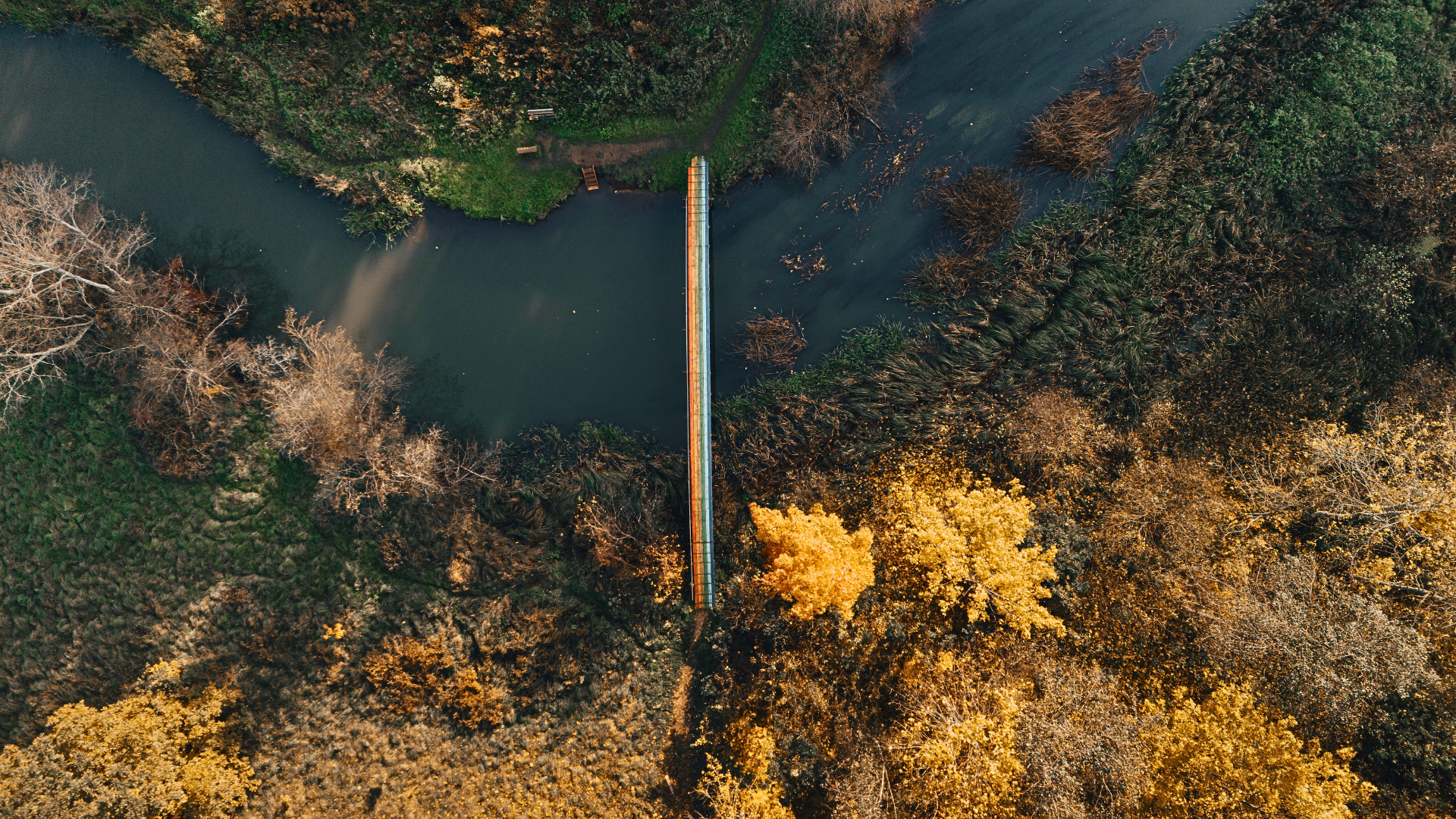 Lähedal asuv Peedu vikerkaaresild sügisel