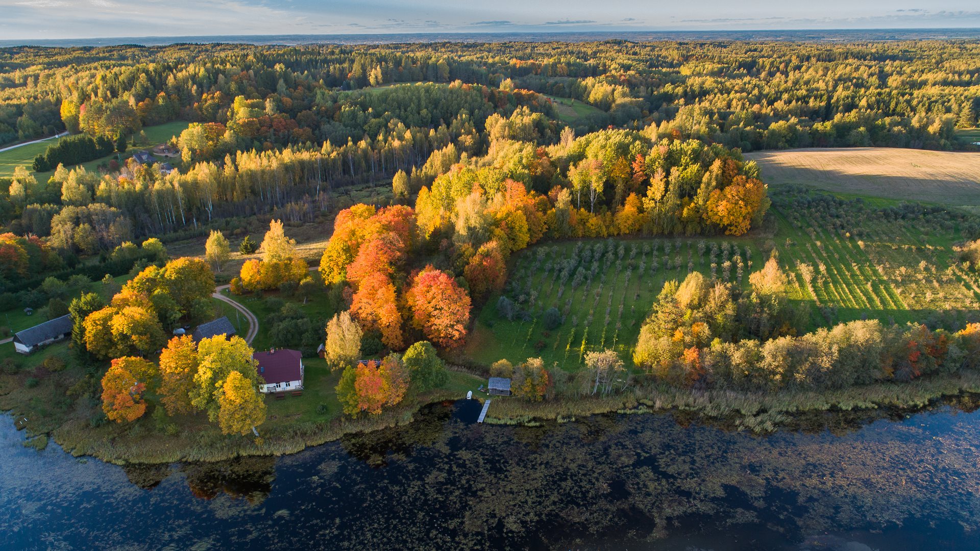 We are a small family business in Võru County, between the hills of Haanja and near the beautiful Lake Alajärv. Our organic farm grows sea-buckthorn a