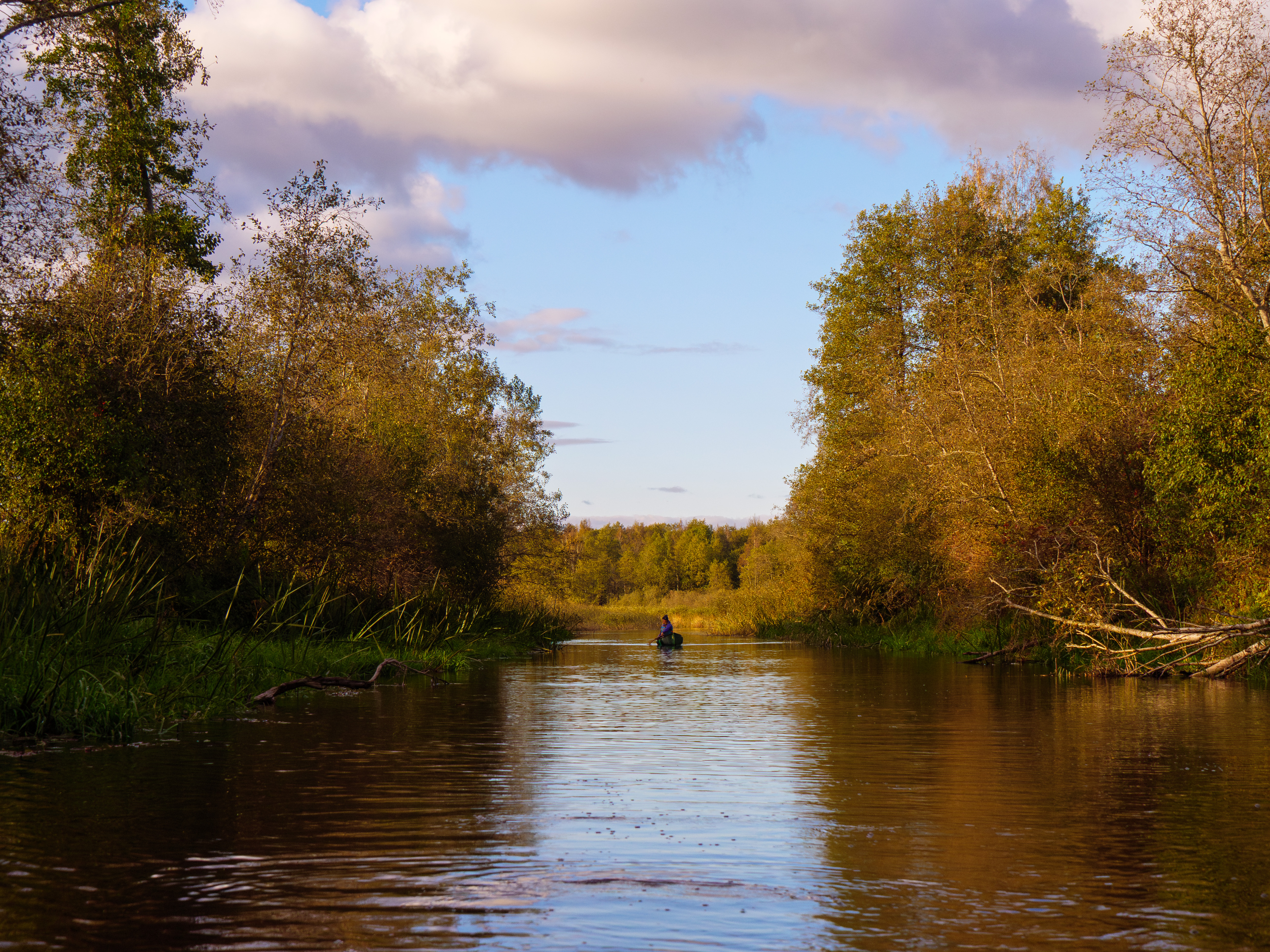 Kanuutades Emajõe vanajõel