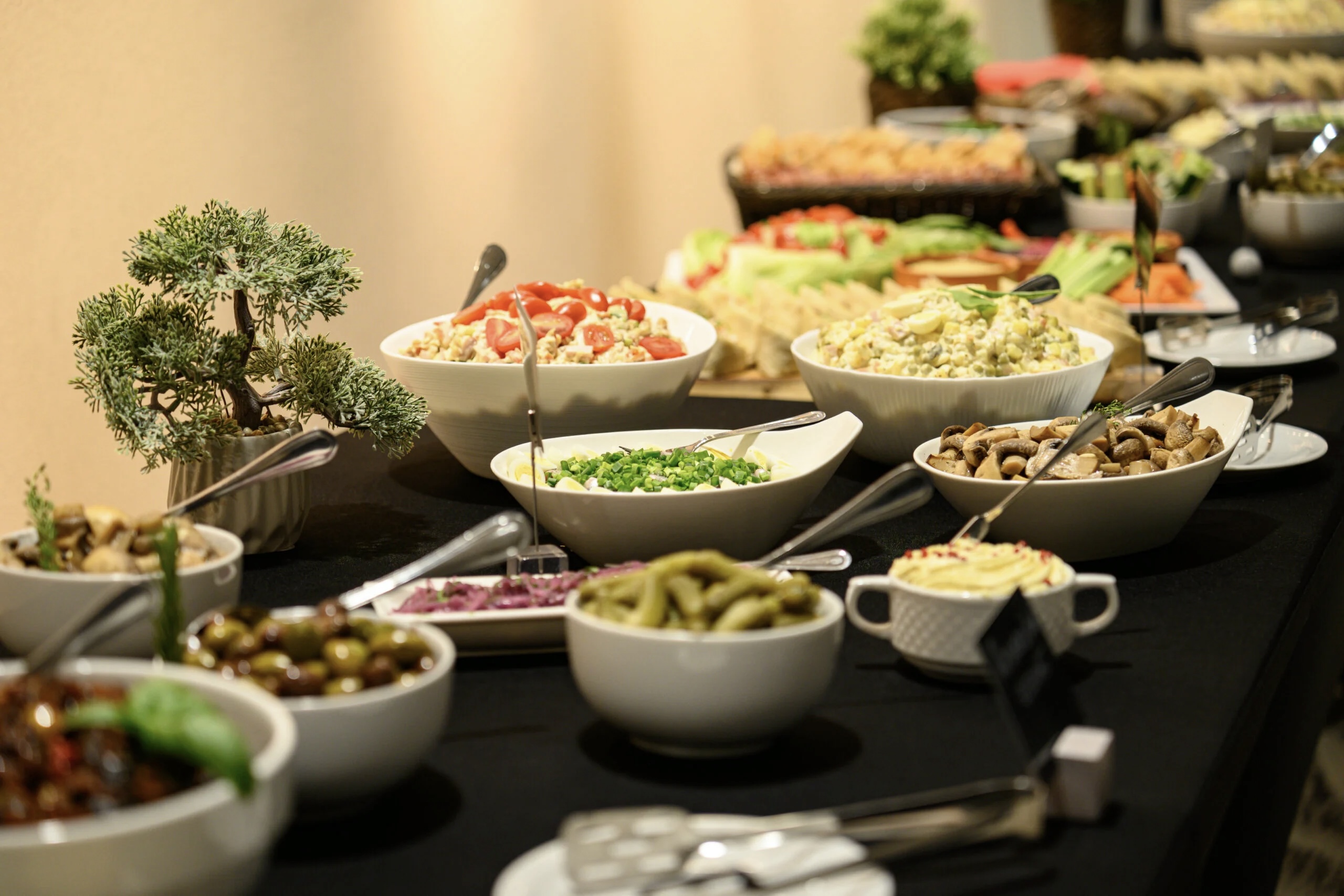 Alex Kohvik & Catering