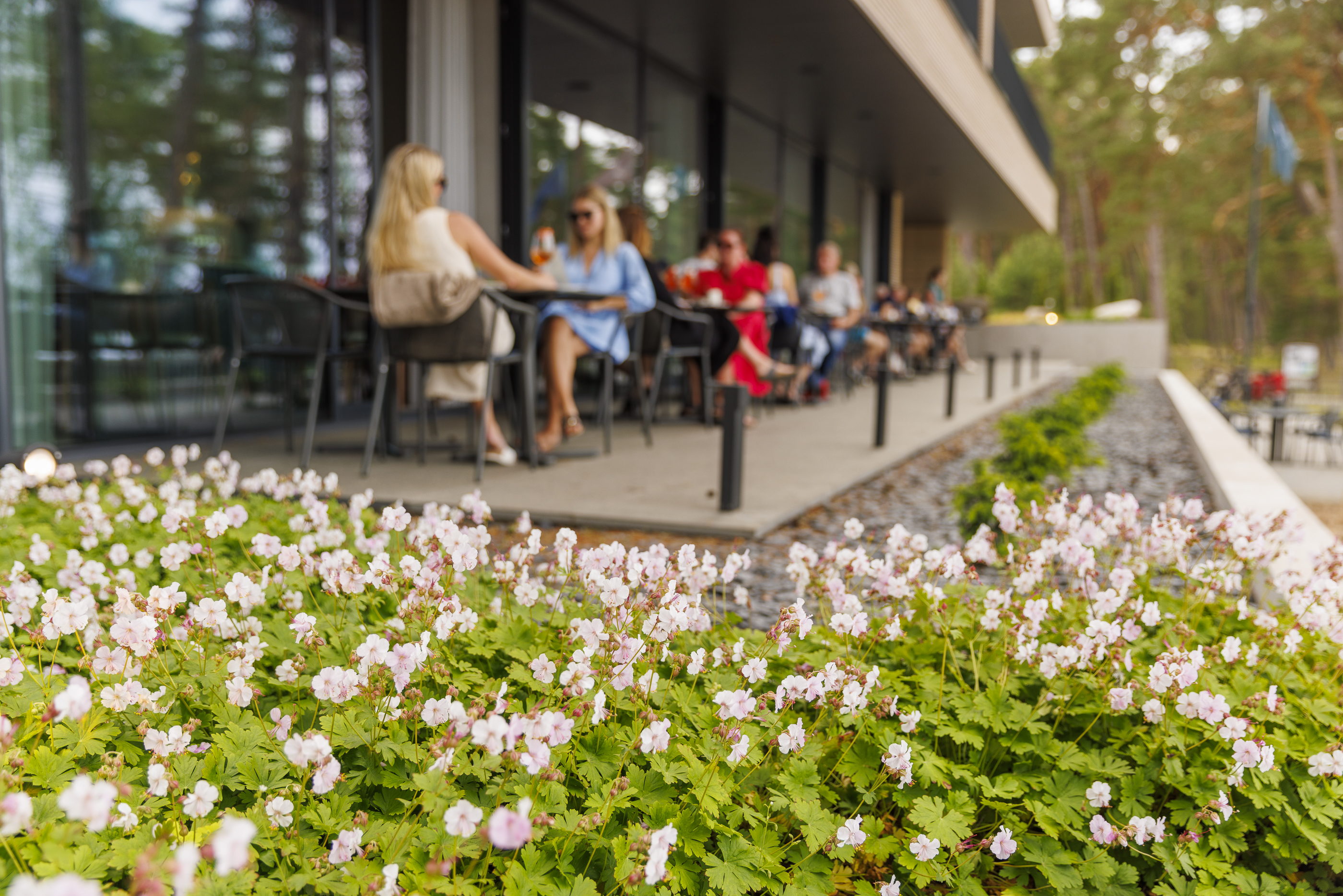 Reute restoran terrass Võsu rannas