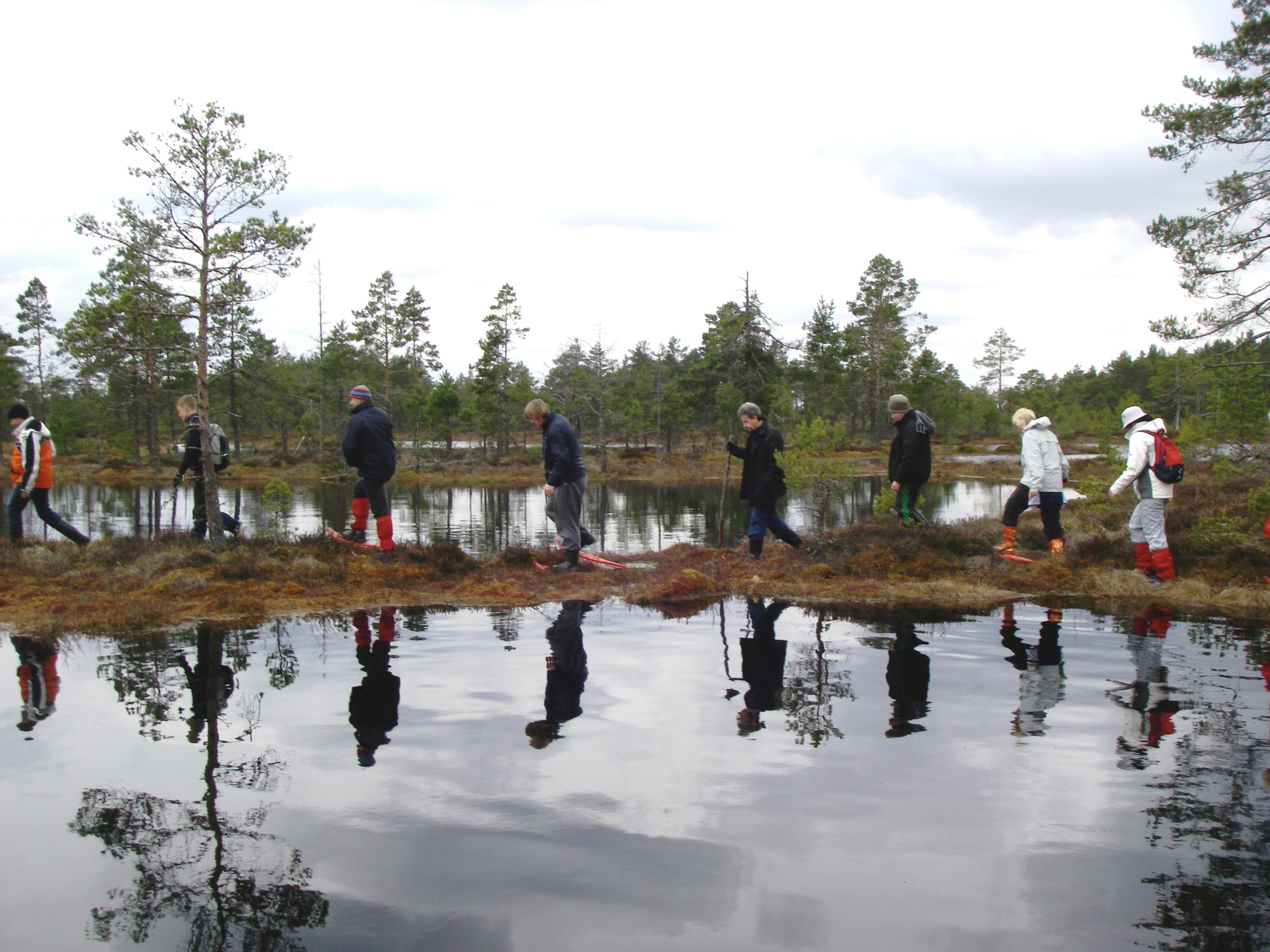 Räätsmatk Koitjärve rabas