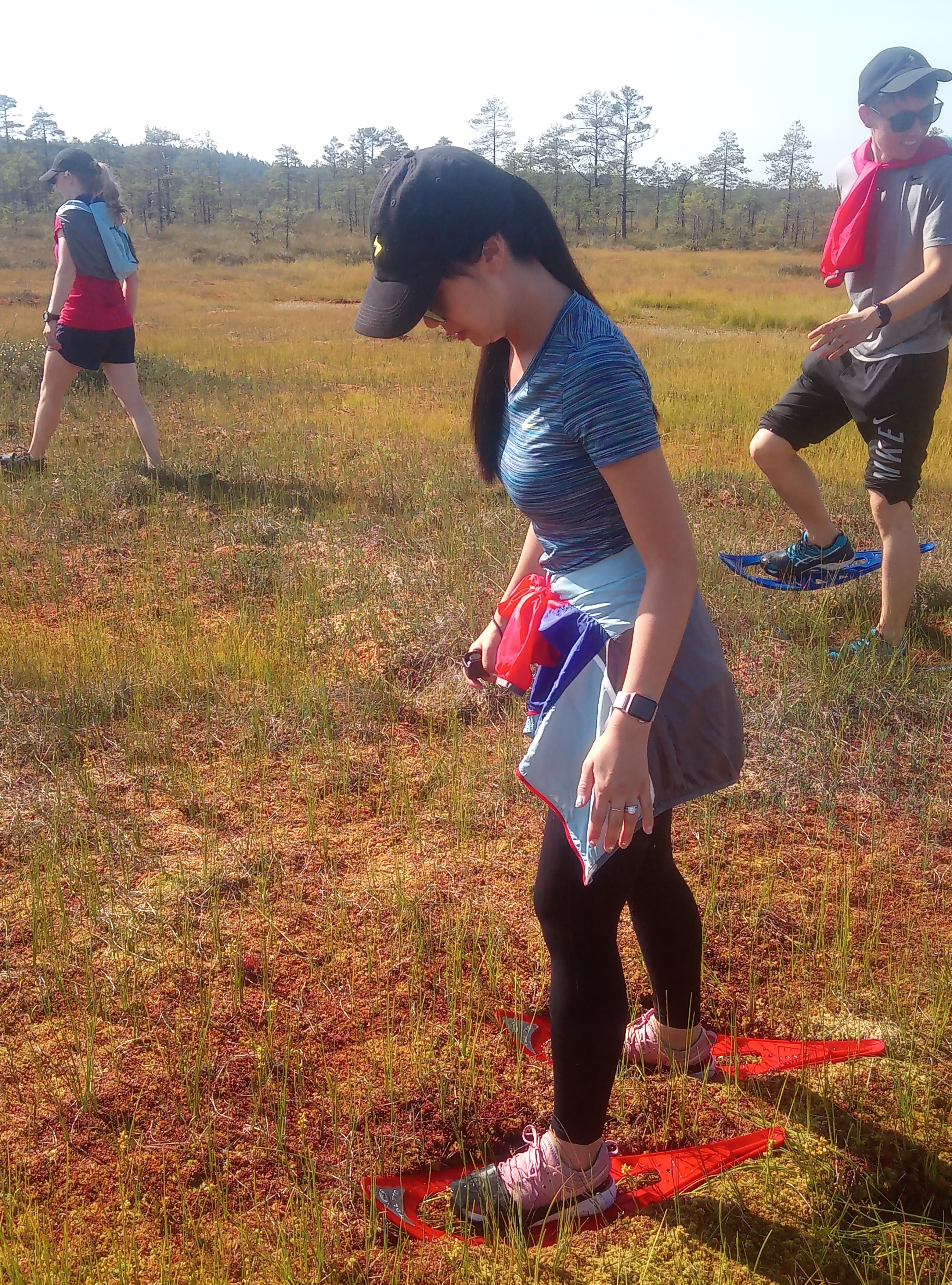 Koitjärve raba räätsmatk