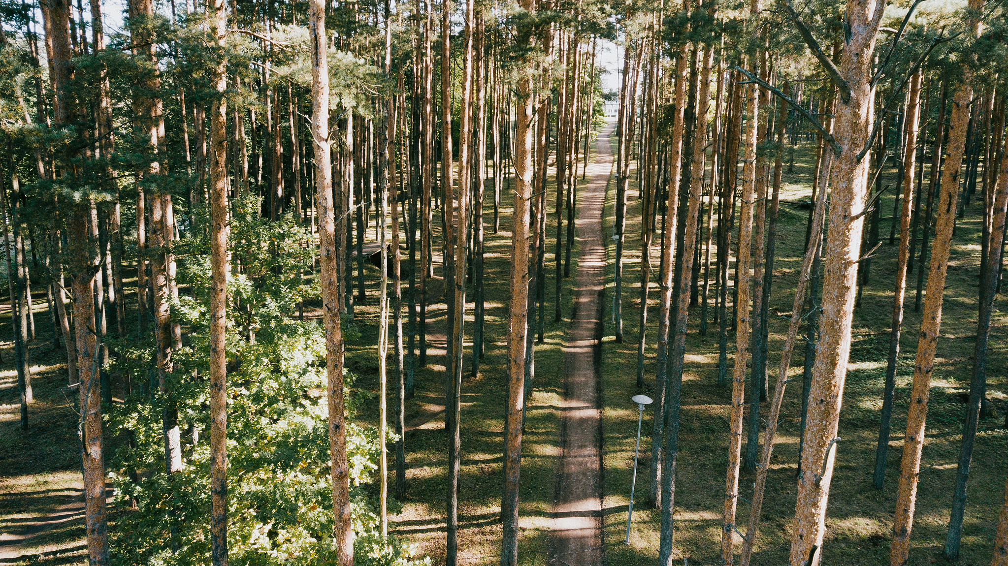 Uueveski puudesalu