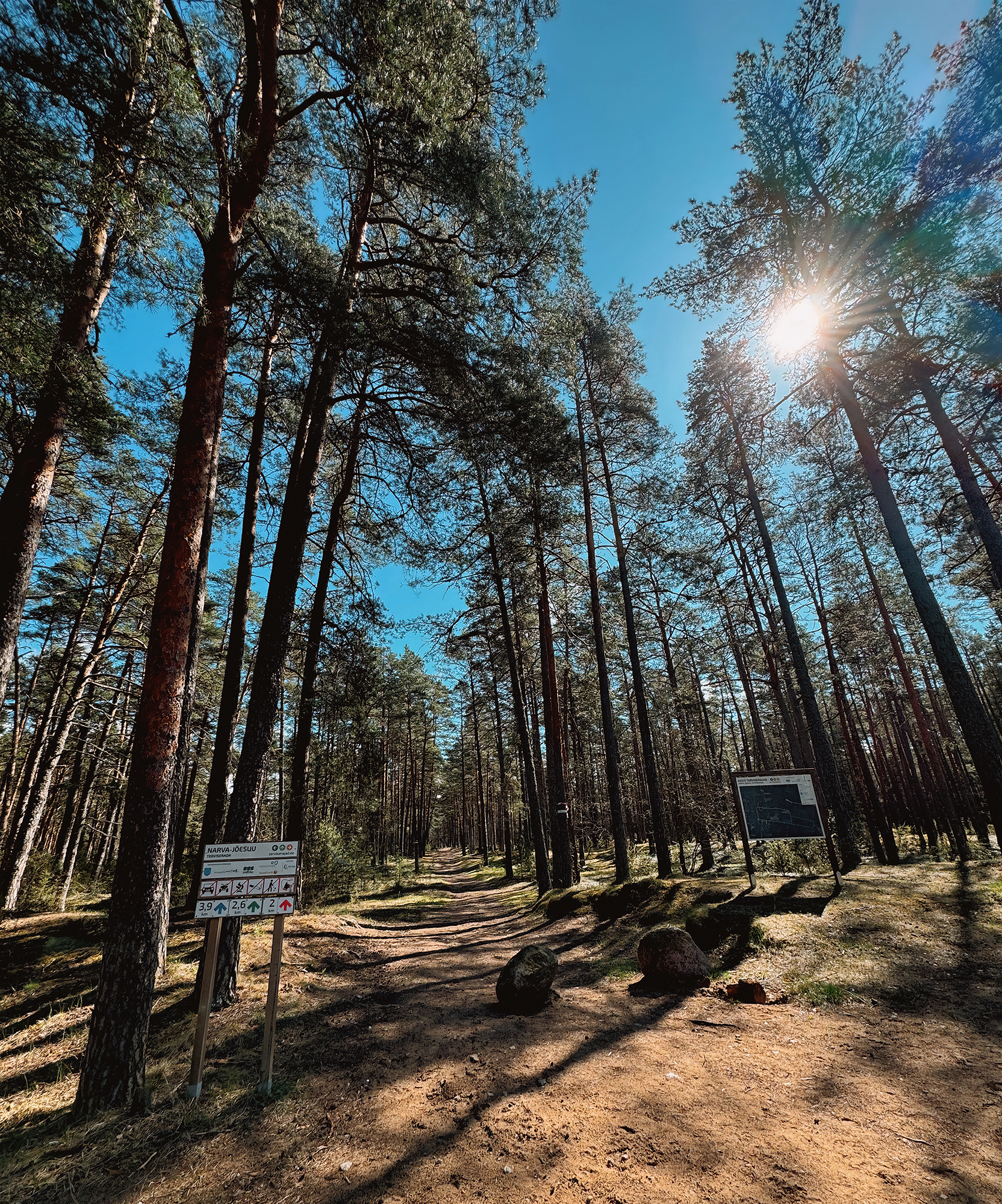 Narva-Jõesuu terviserada