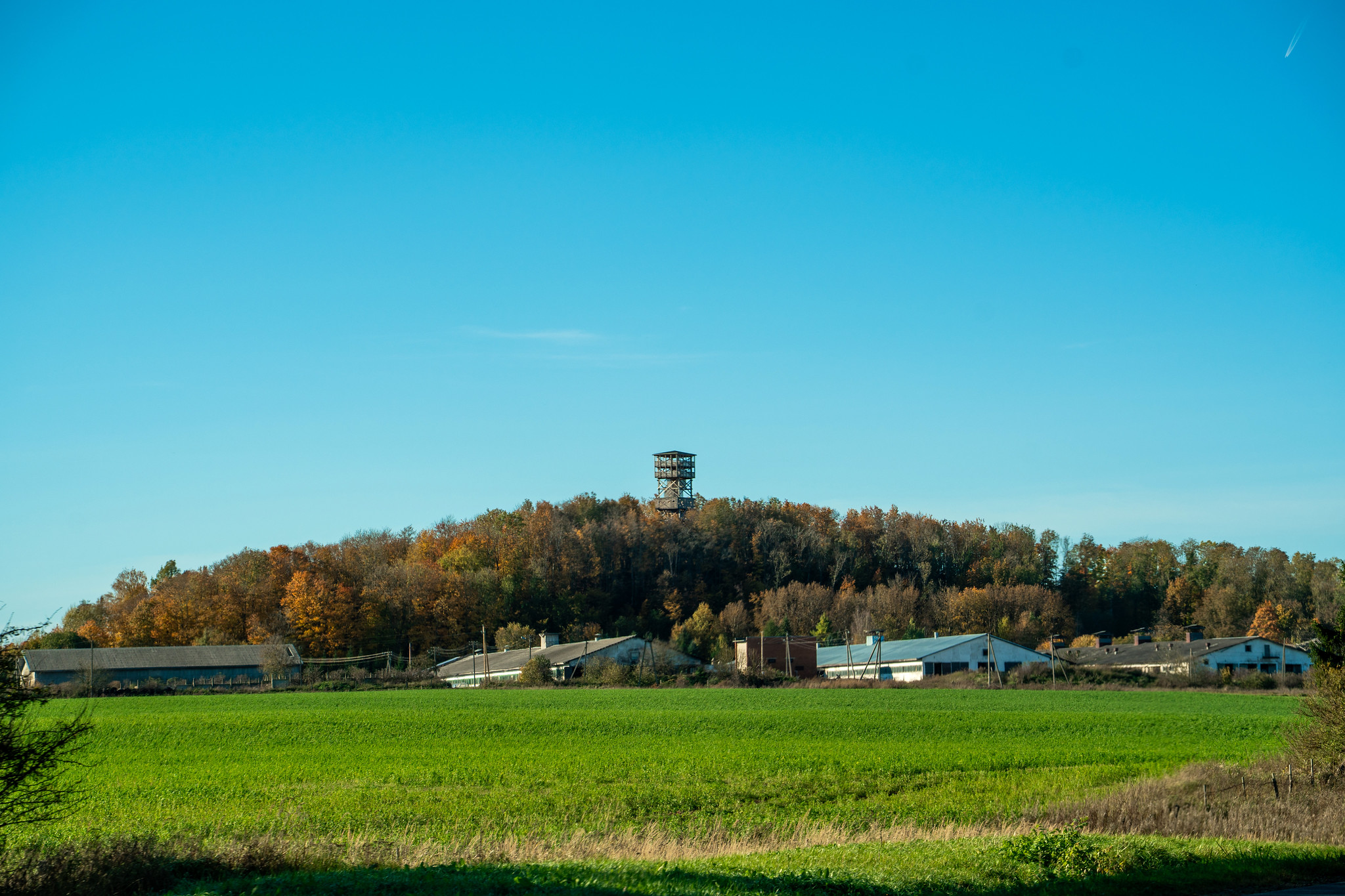Sinimäe vaatetorn – vaade maanteelt.