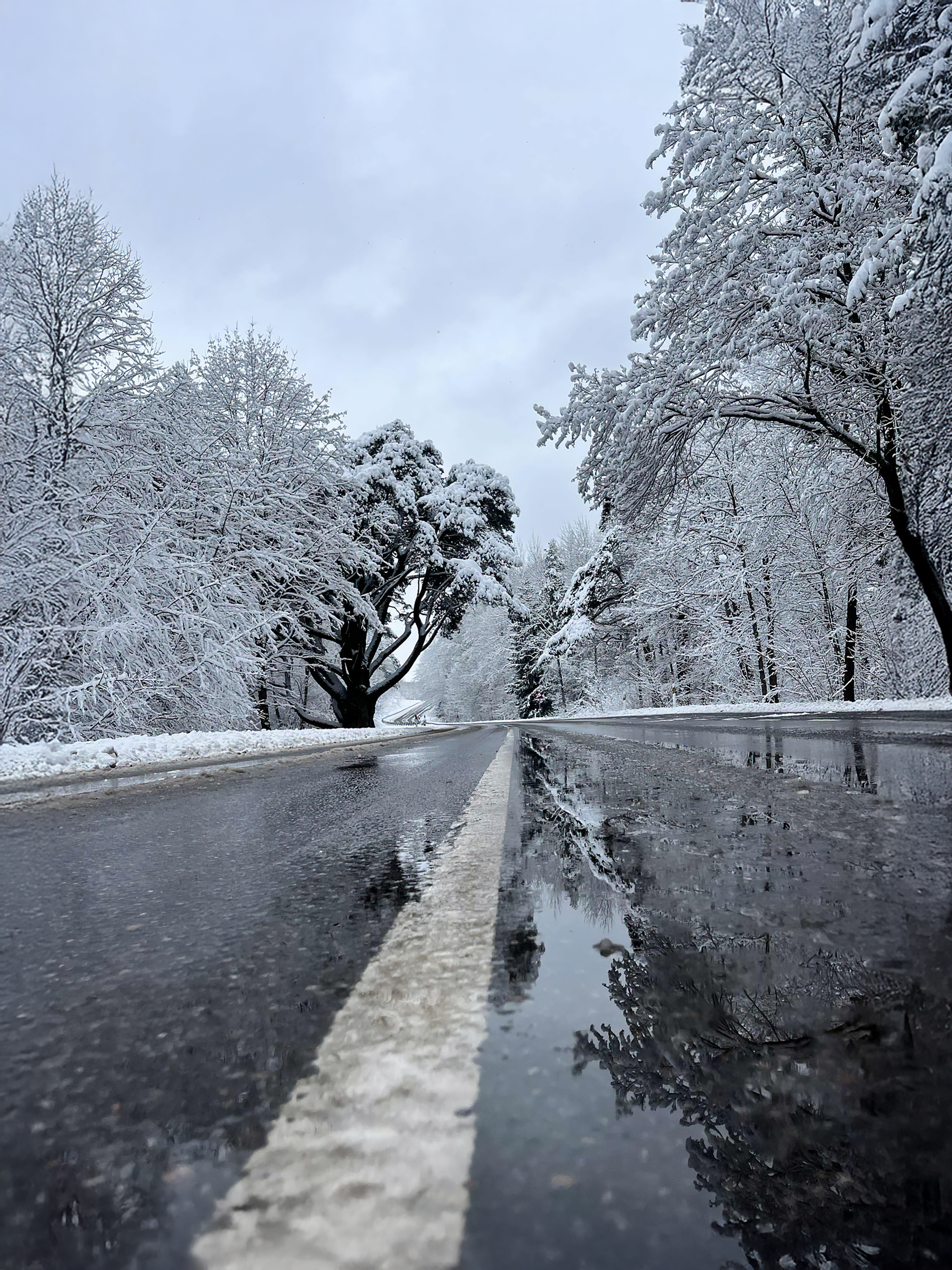 Merikülan mäntytalvella