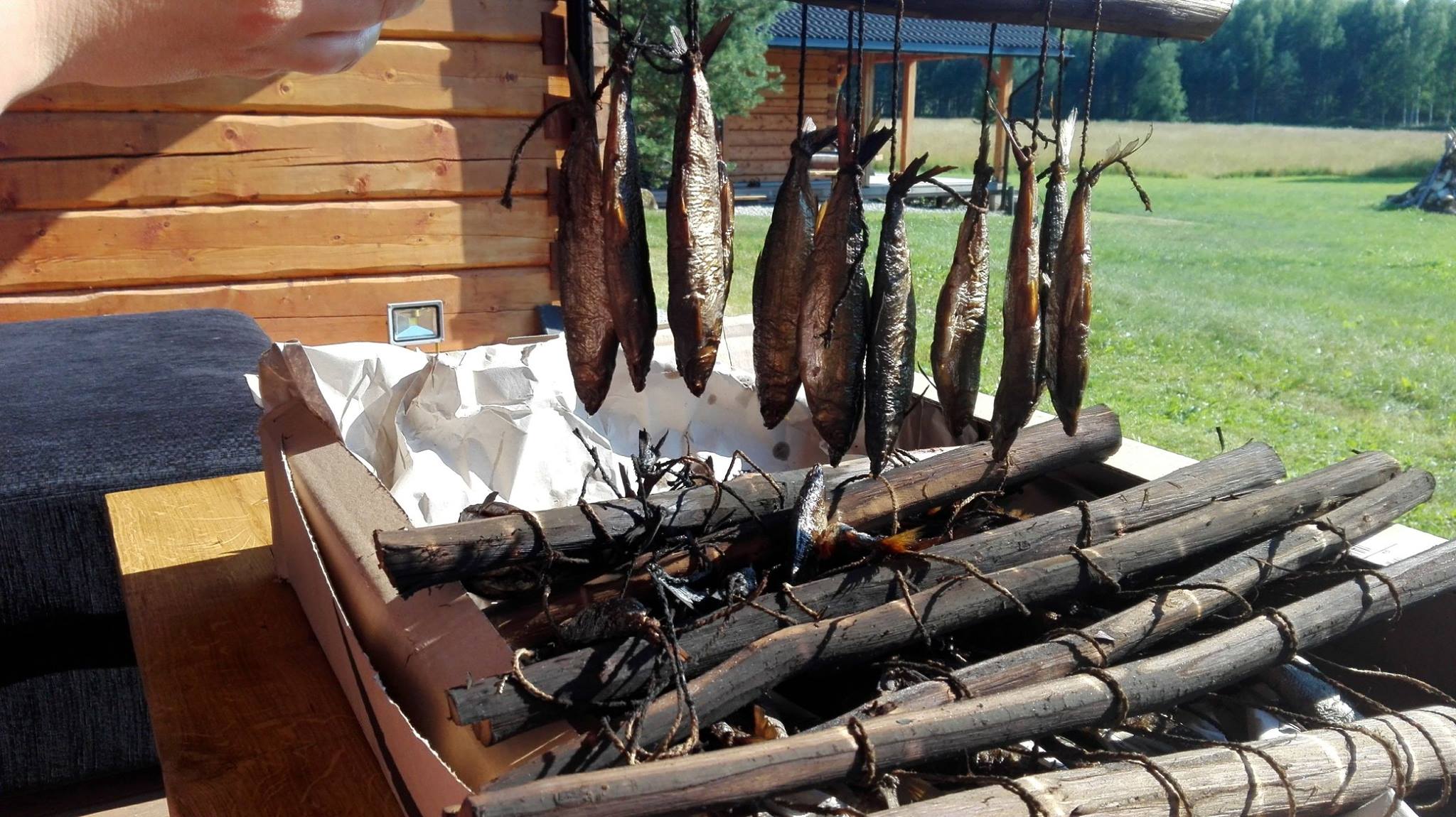 Lemmaku puhkemaja ja sutsukala