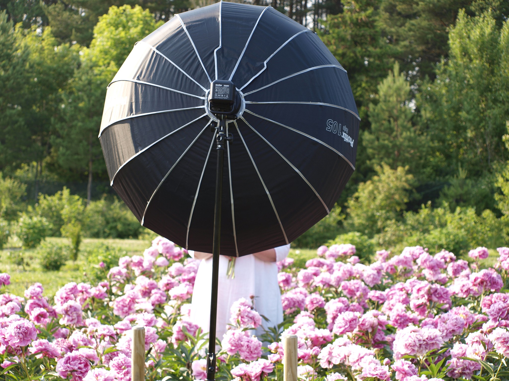 Saaremaa Pojengifestival 2026