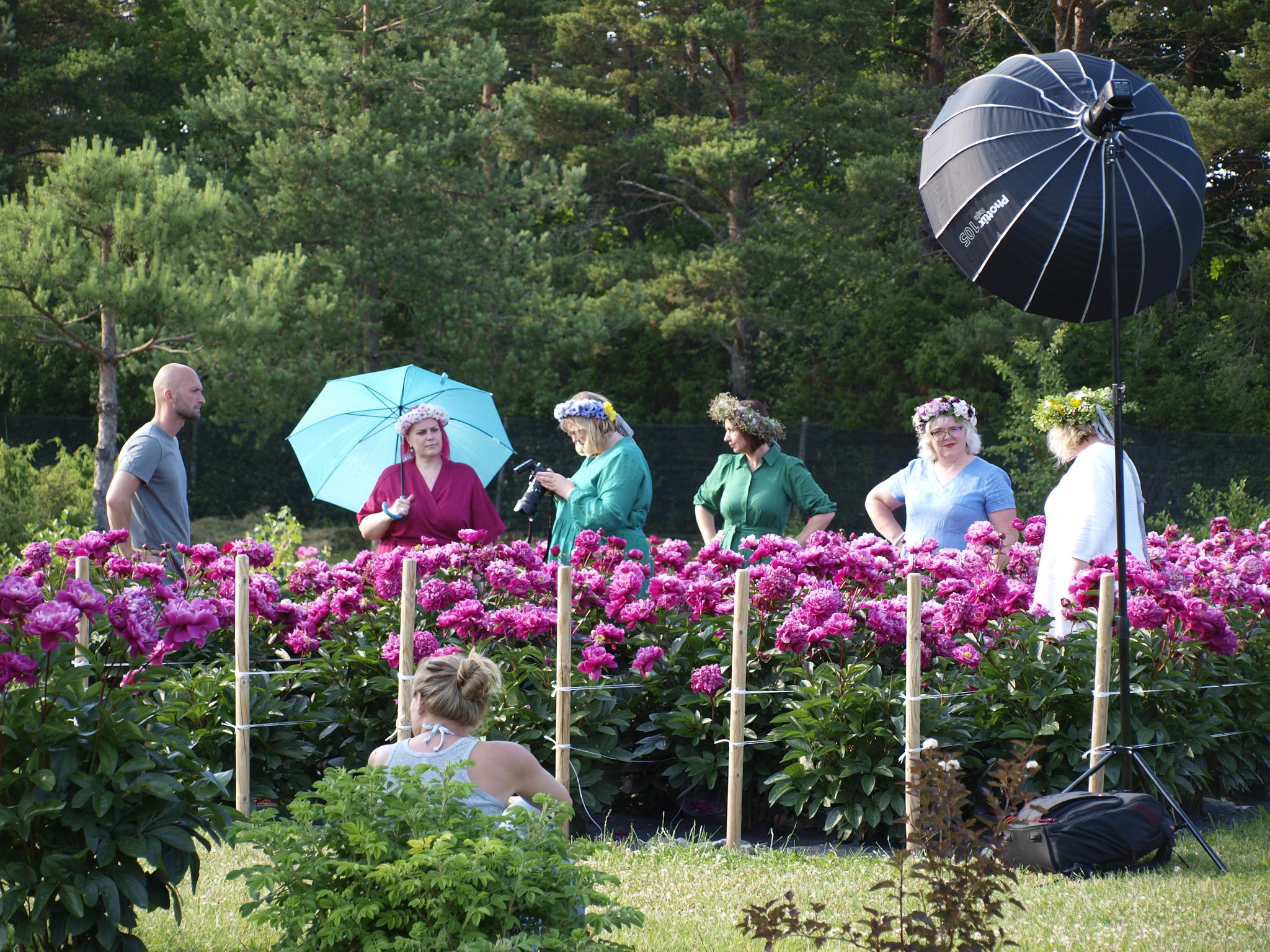 Saaremaa Pojengifestival 2026