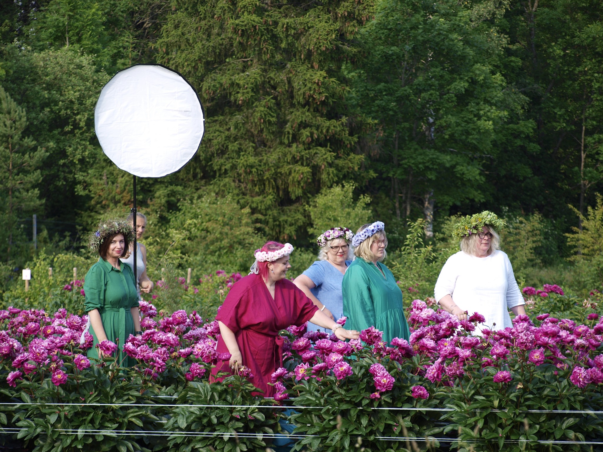 Saaremaa Pojengifestival 2026