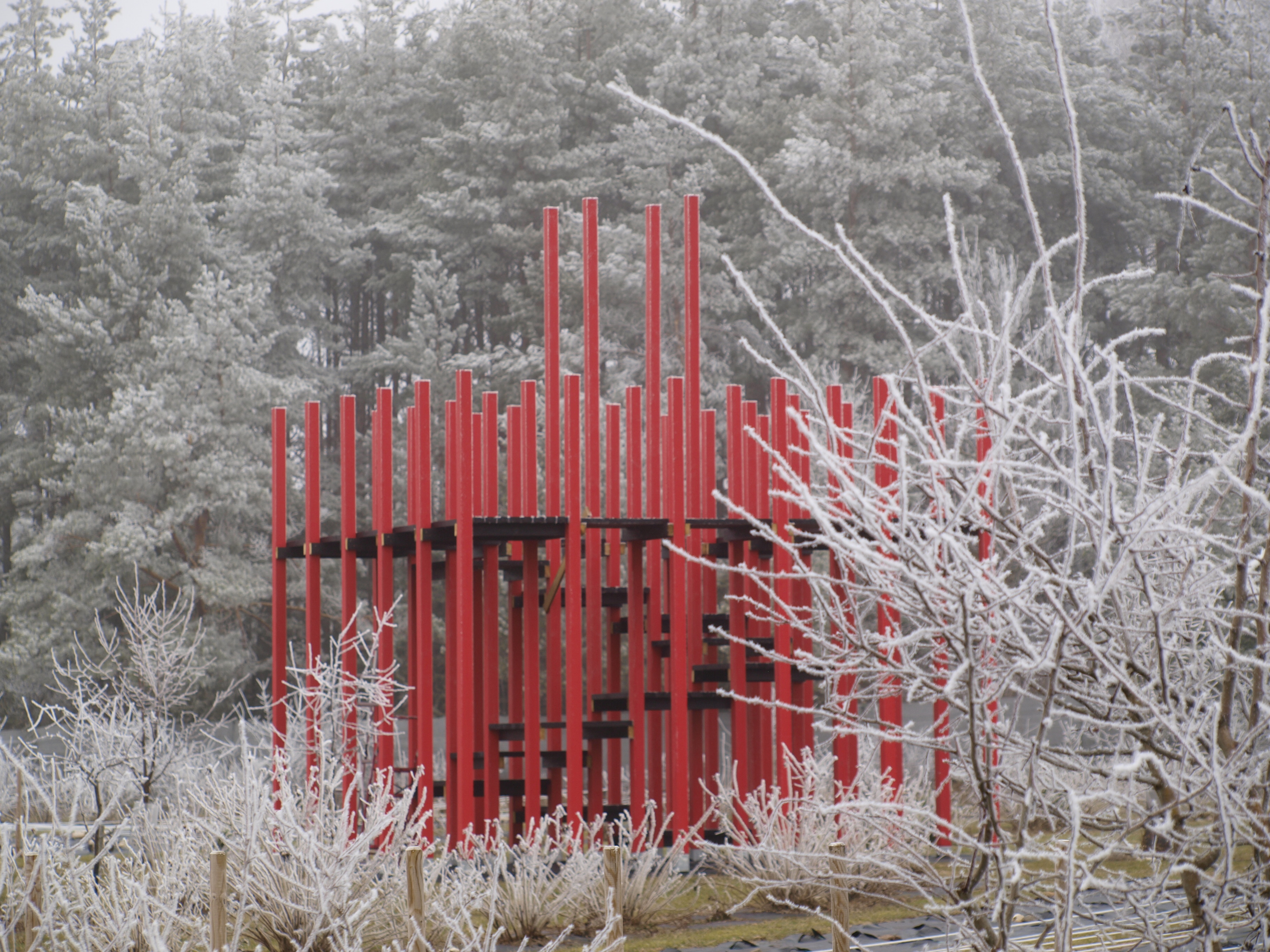 Talvine Saaremaa Peony Gardens